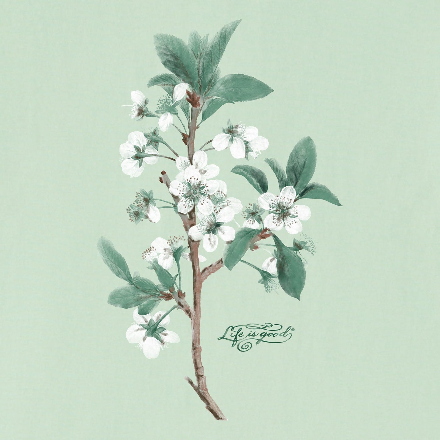 Women's Antique Plum Blossom Painting Short Sleeve Crusher Vee