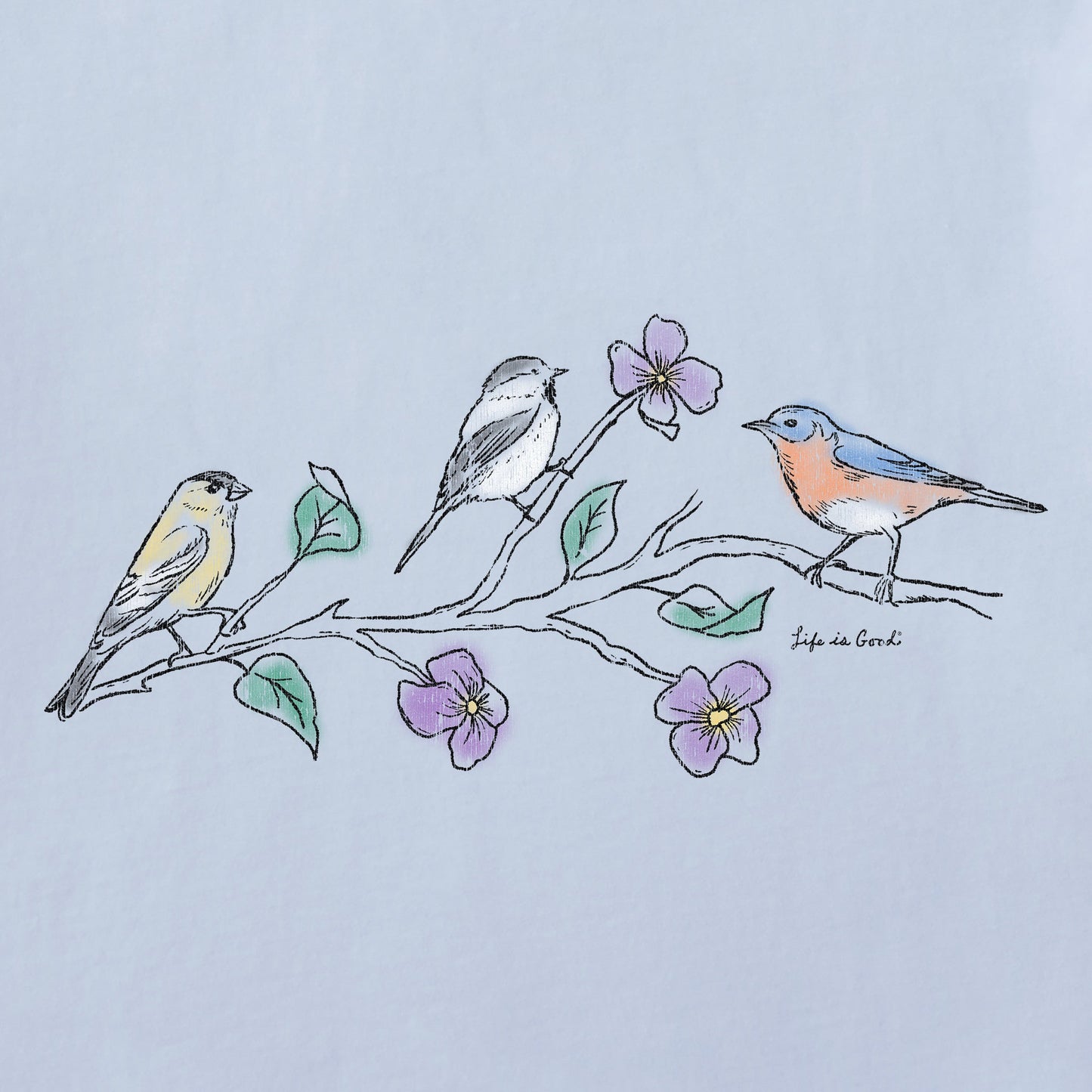 Women's Three Birds Short Sleeve Vee