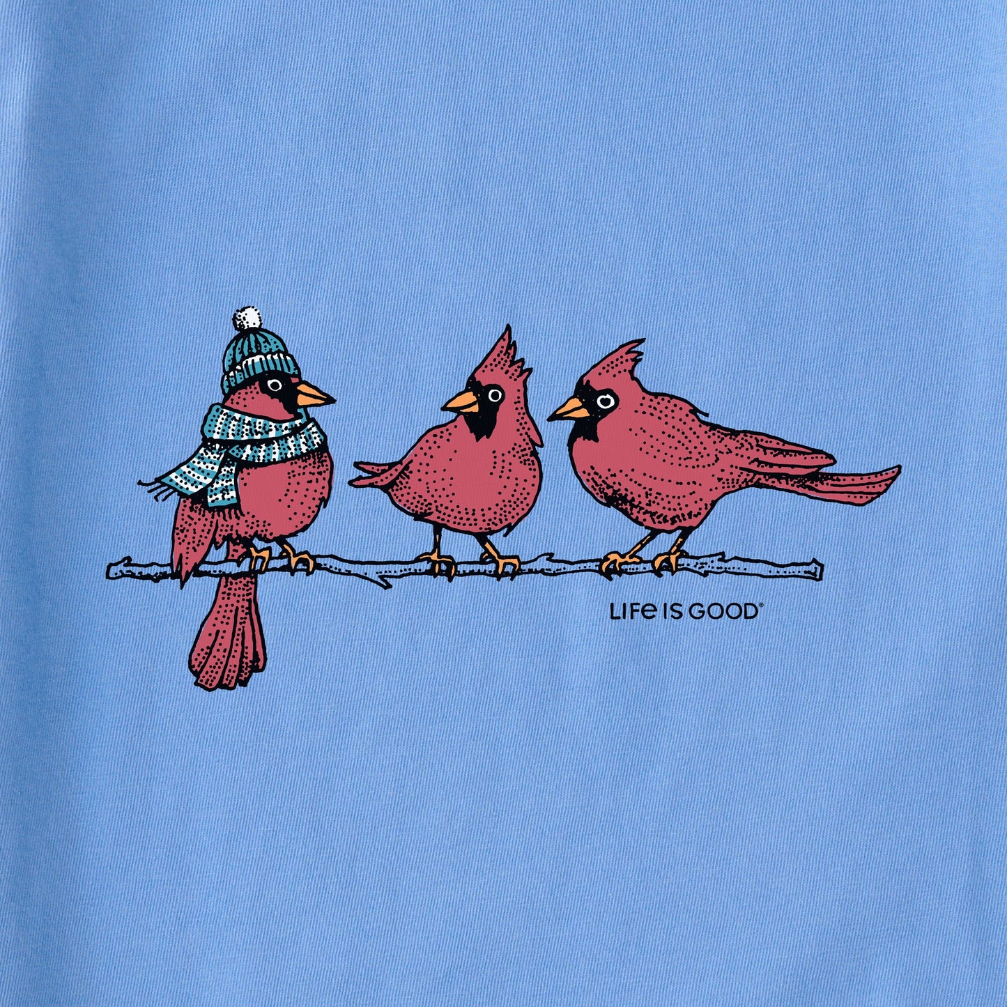 Women's 3 Warmly Dressed Cardinals Simply True Fleece Hoodie