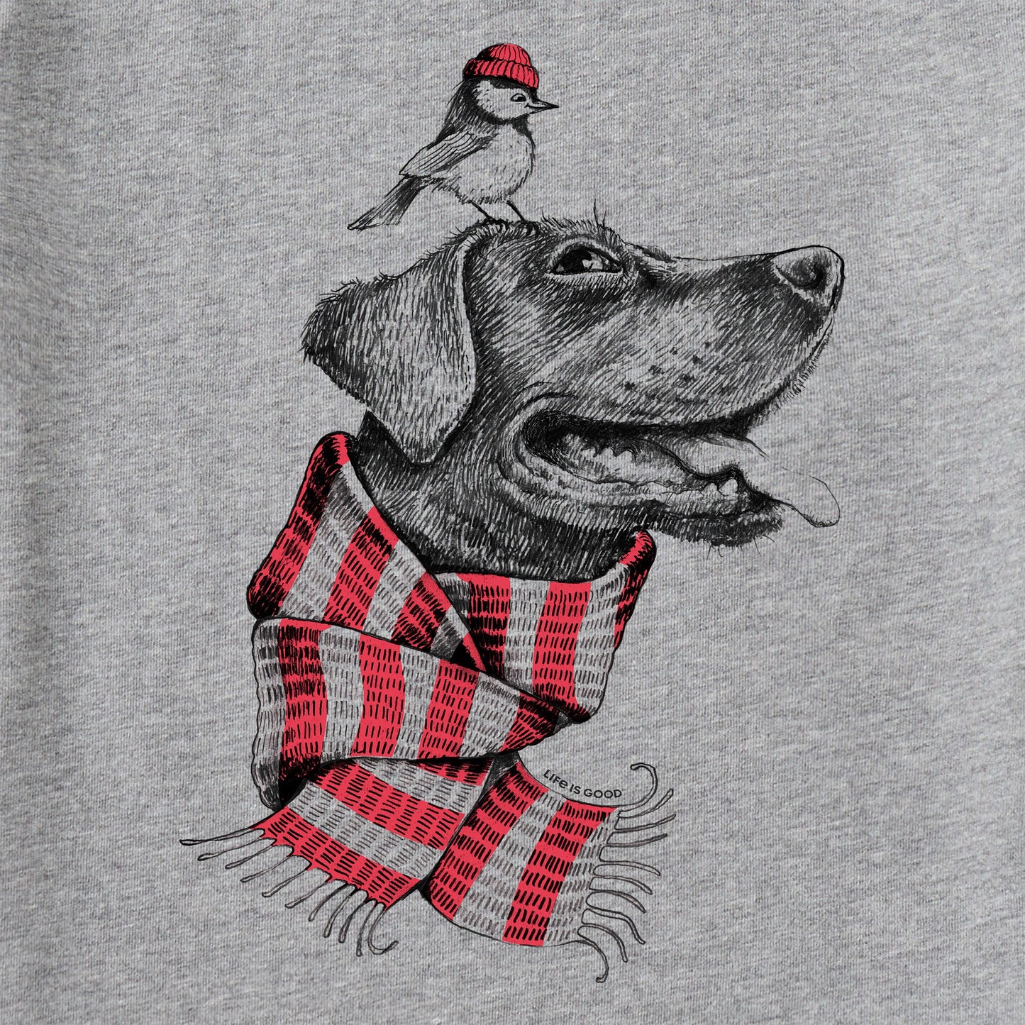 Men's Dog and Bird Buddies Long Sleeve Crusher Tee