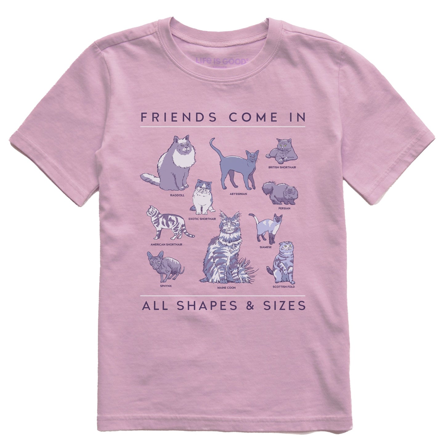 Kids Cat Friends Shapes & Sizes Short Sleeve Crusher Tee