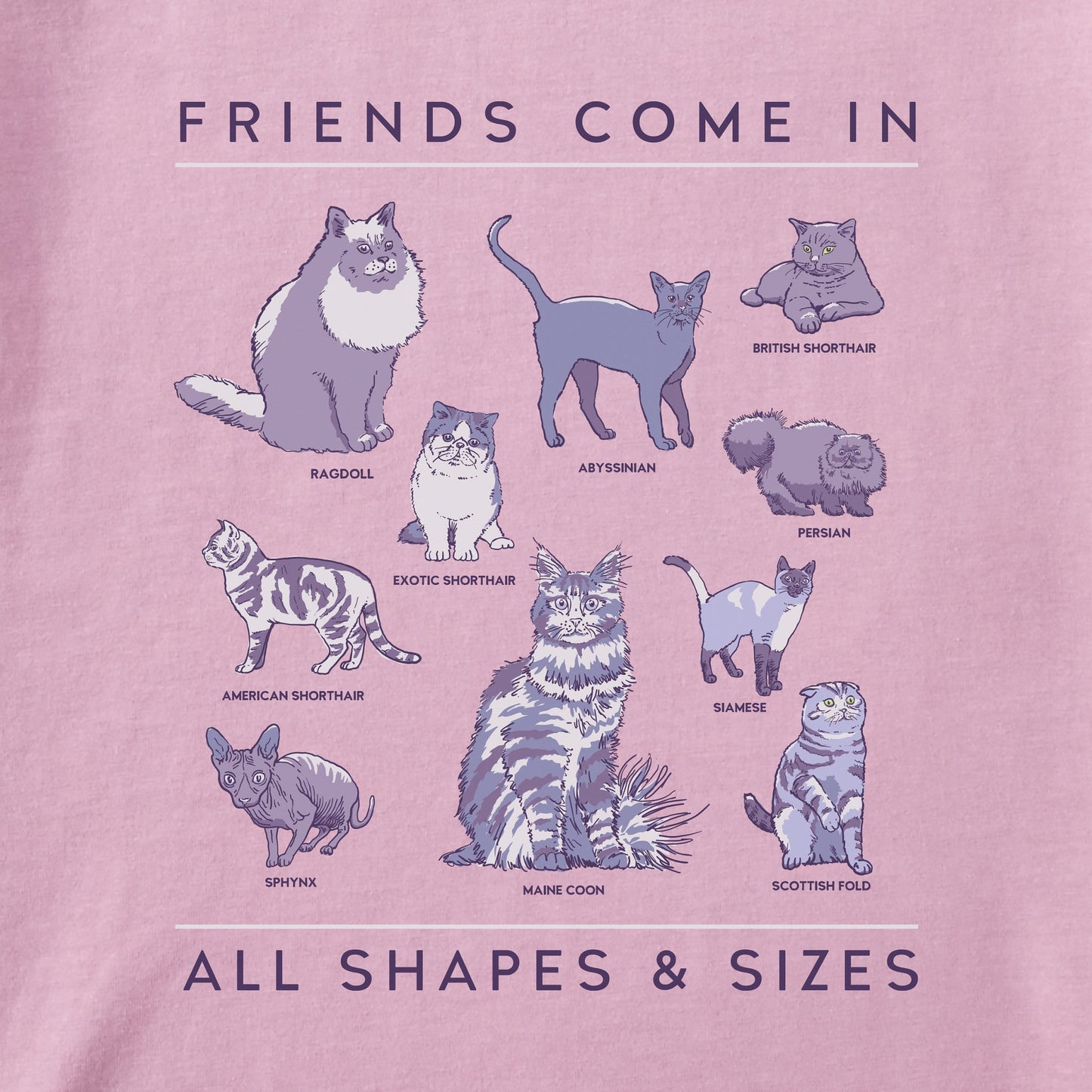 Kids Cat Friends Shapes & Sizes Short Sleeve Crusher Tee