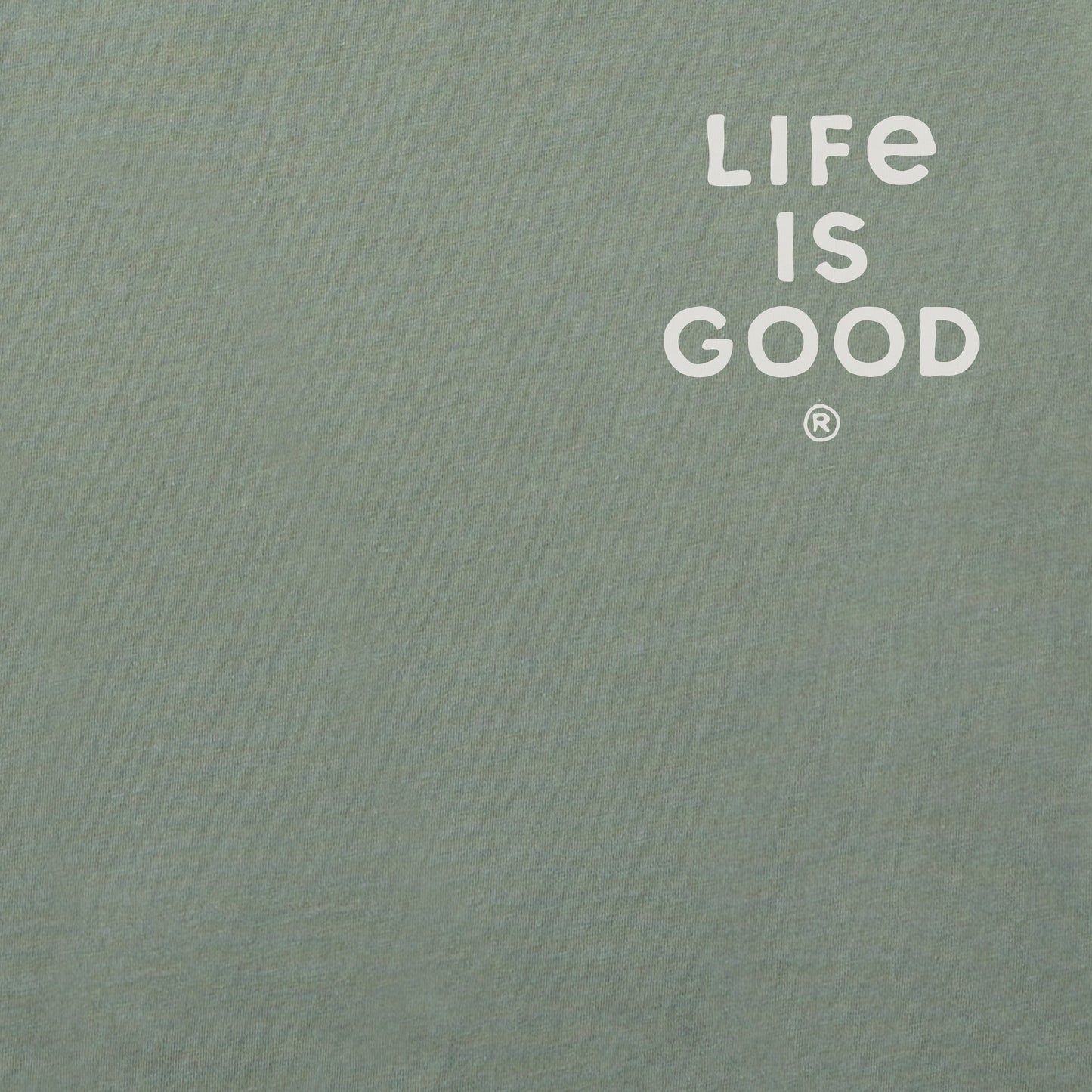 Men's Freshwater Fish More Work Less Short Sleeve Tee