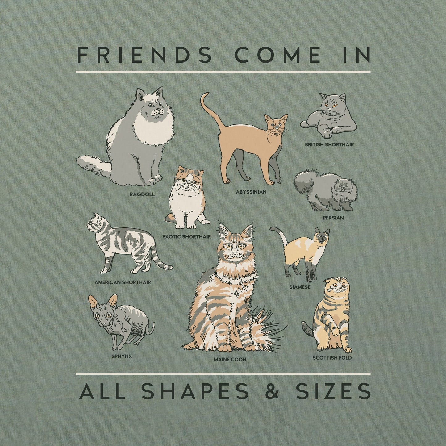 Men's Cat Friends Shapes & Sizes Short Sleeve Tee