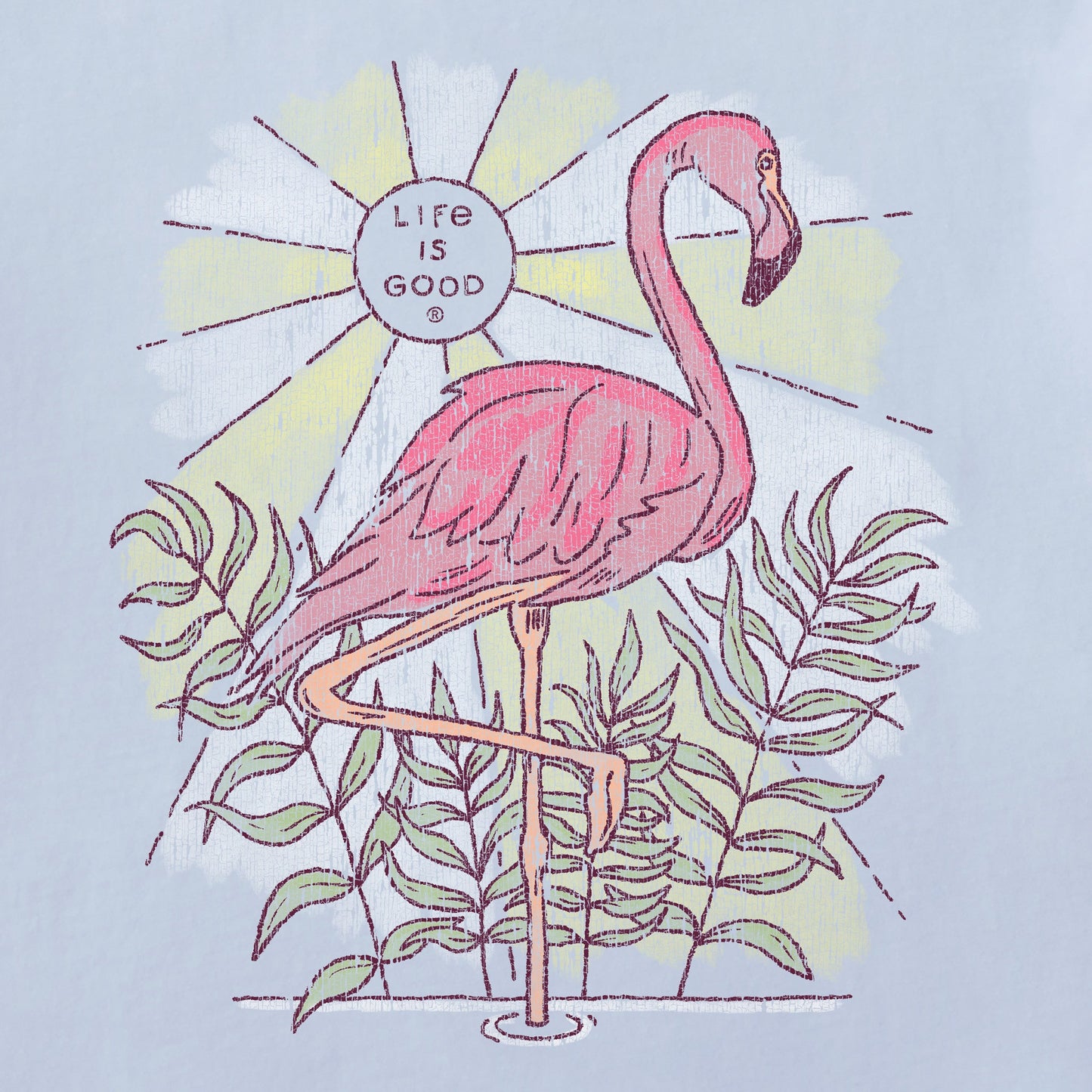 Women's Dreamy Flamingo Short Sleeve Tee