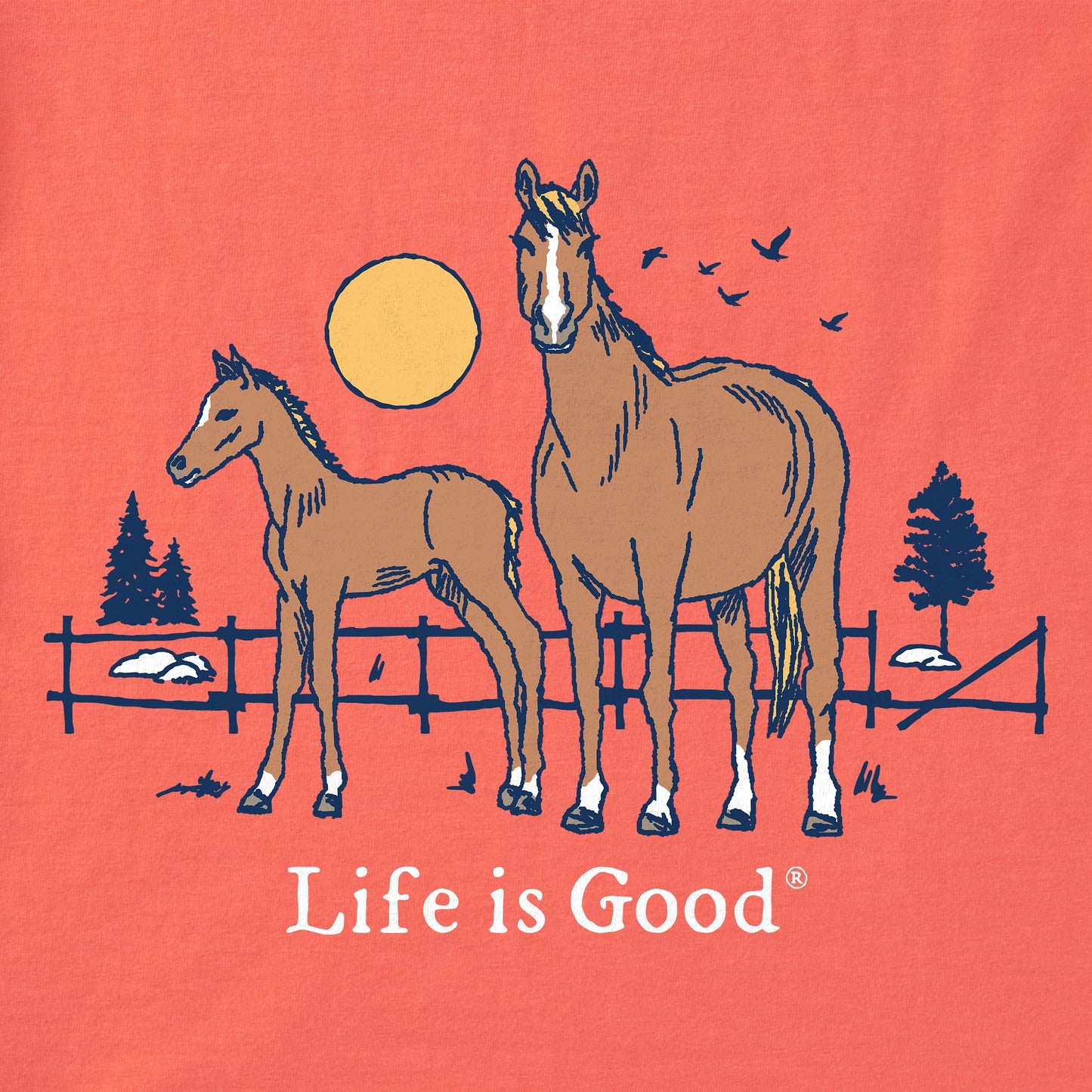 Kids Horse and Foal Short Sleeve Crusher Tee