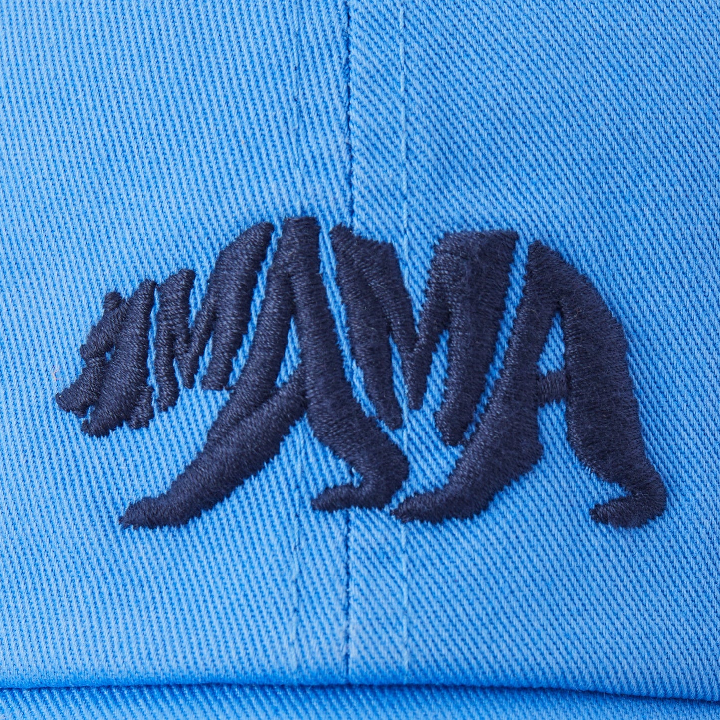 Adult Unisex Mama Bear Chill Cap