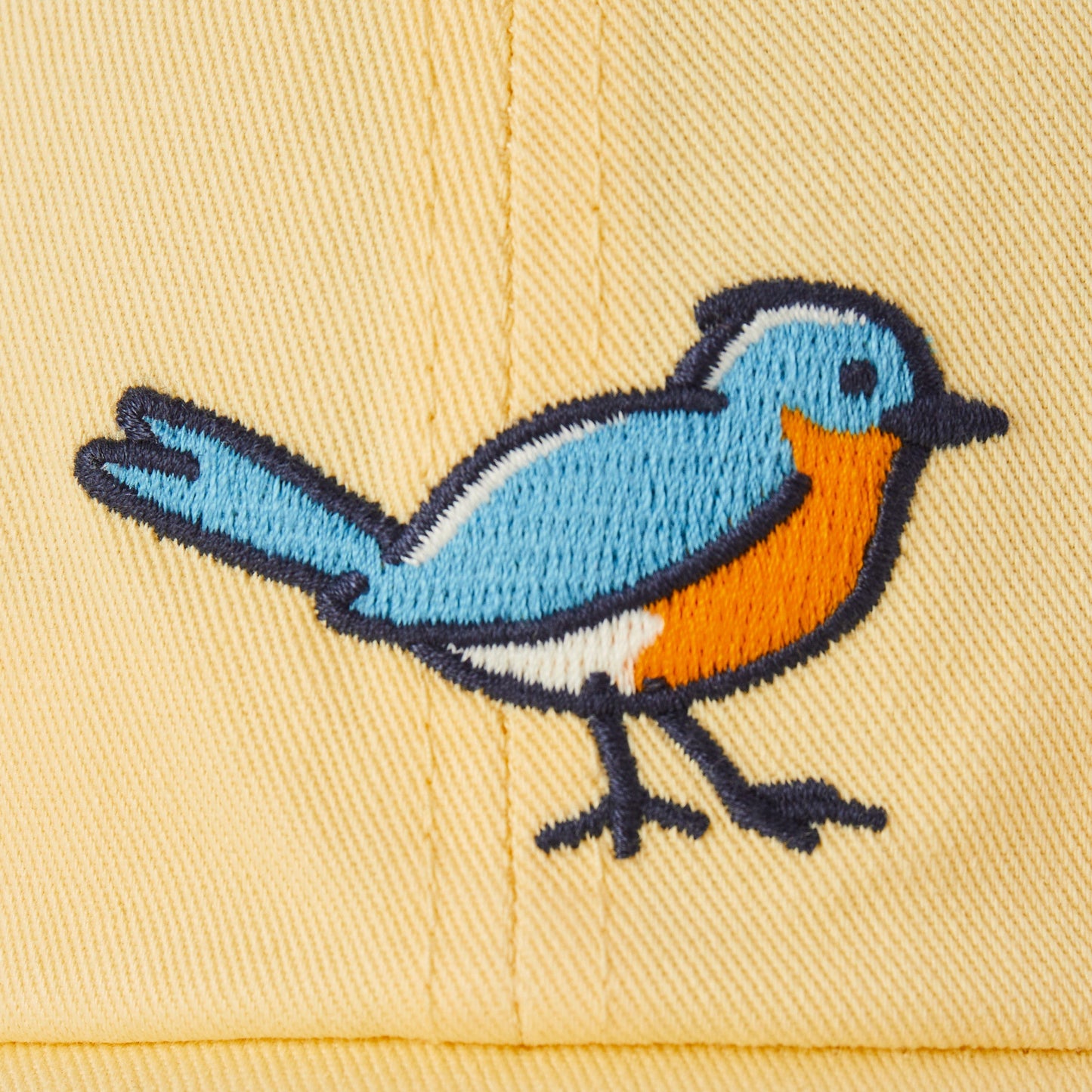 Adult Unisex Vintage Bird Chill Cap