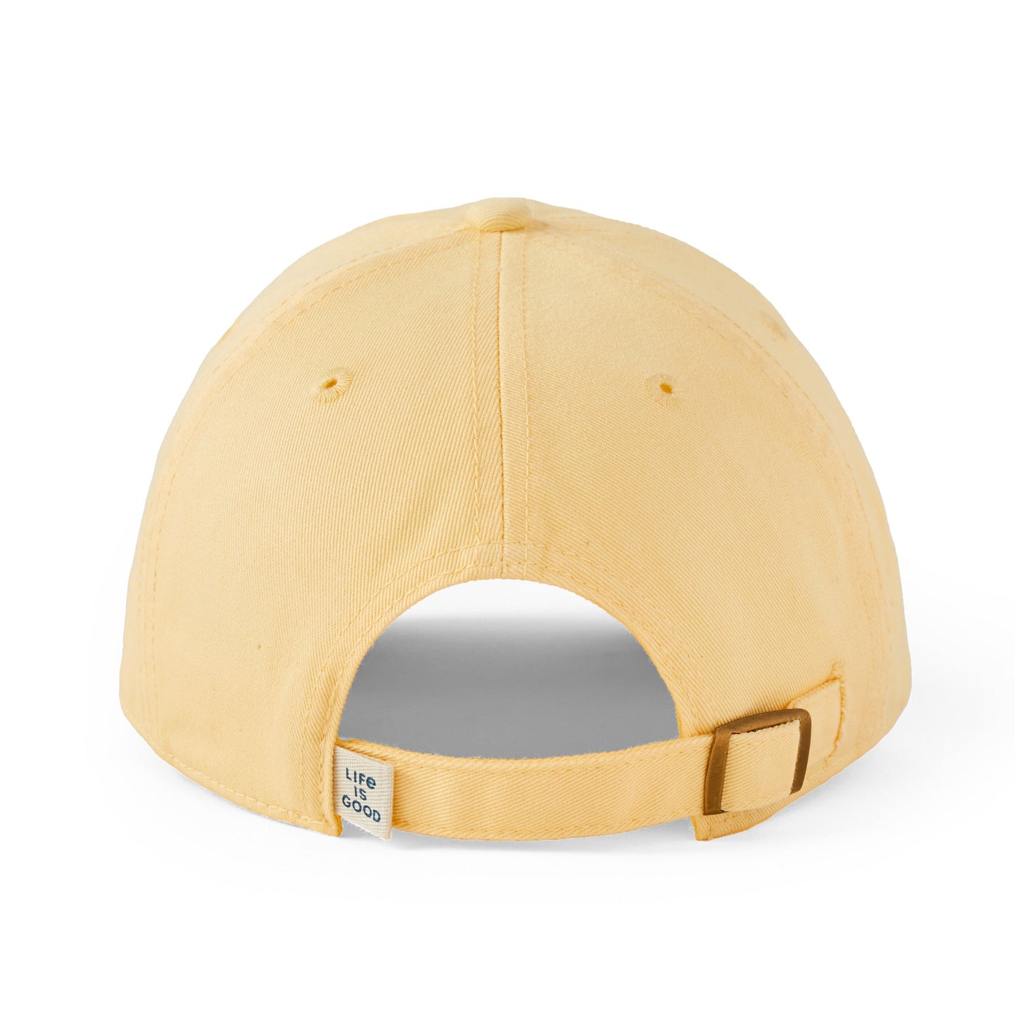 Adult Unisex Vintage Bird Chill Cap