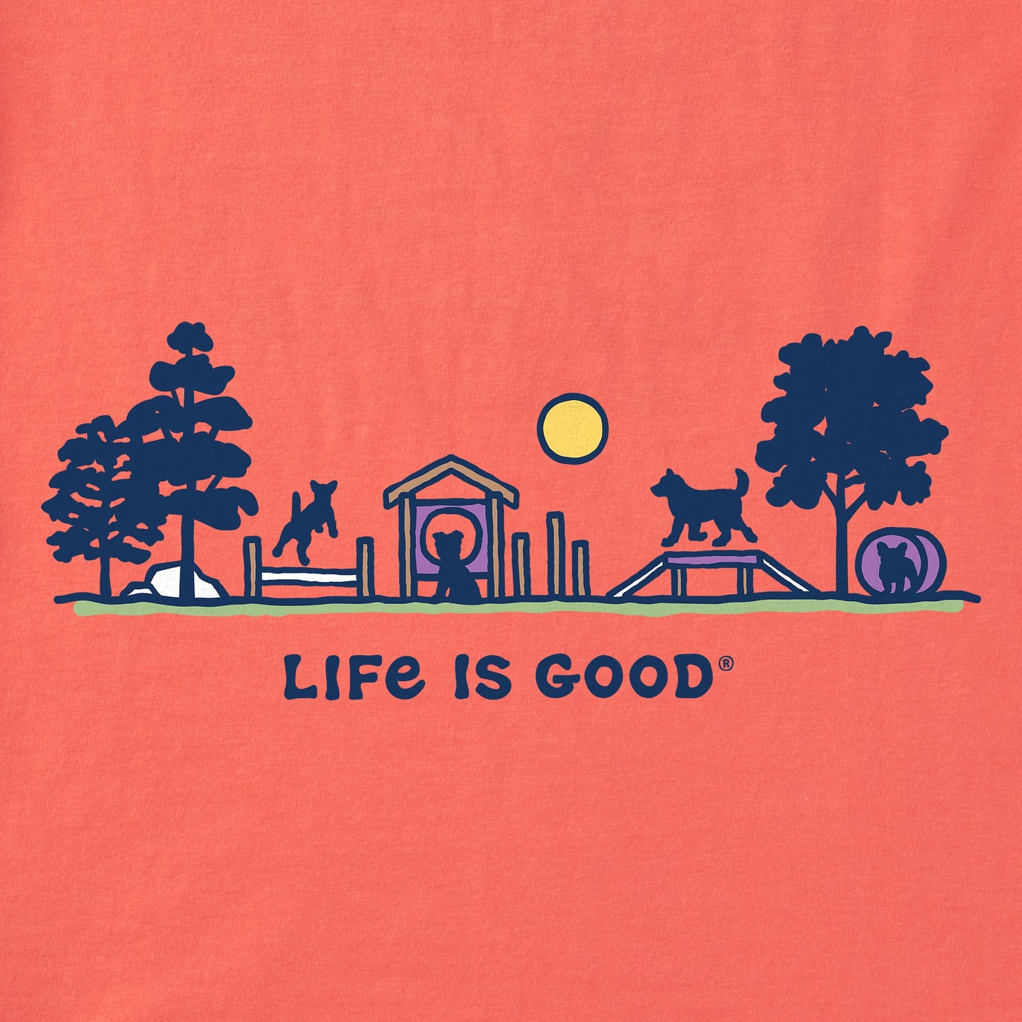 Women's Dog Park Vista Short Sleeve Vee