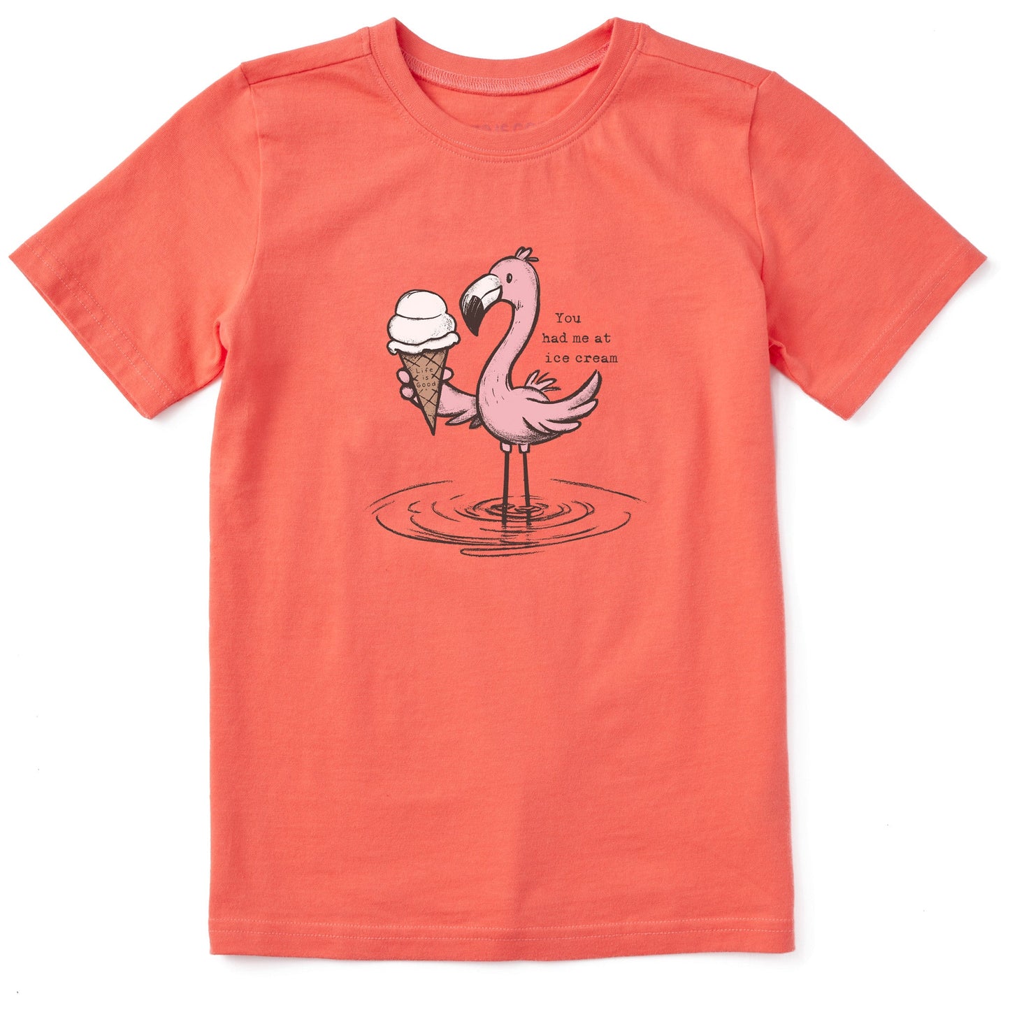 Kids You Had Me at Ice Cream Flamingo Short Sleeve Crusher Tee