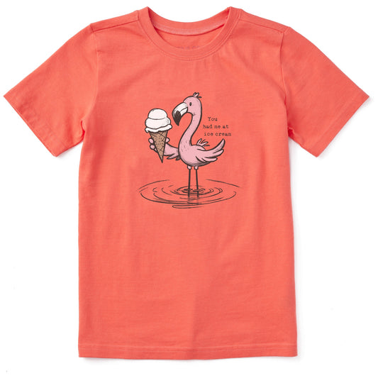 Kids You Had Me at Ice Cream Flamingo Short Sleeve Crusher Tee