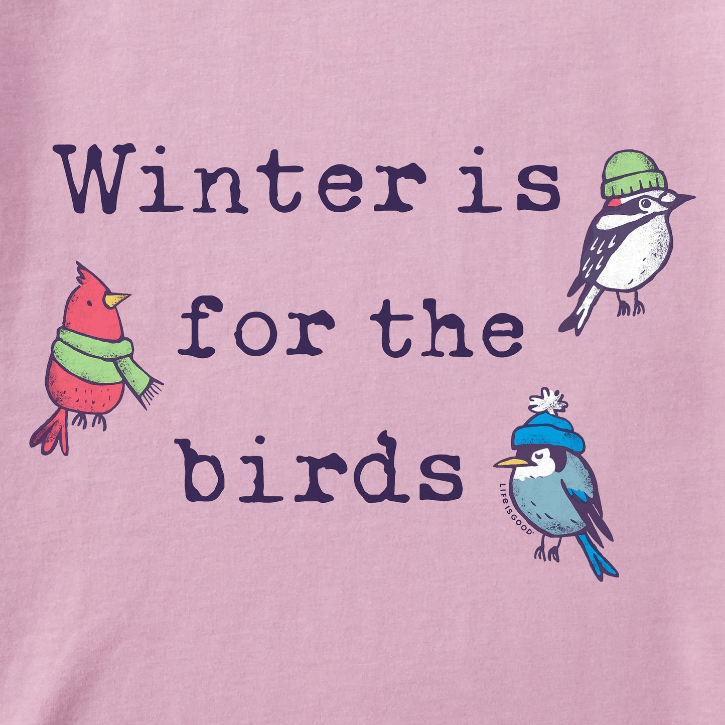 Women's Winter is for the Birds Stack Short Sleeve Crusher Tee