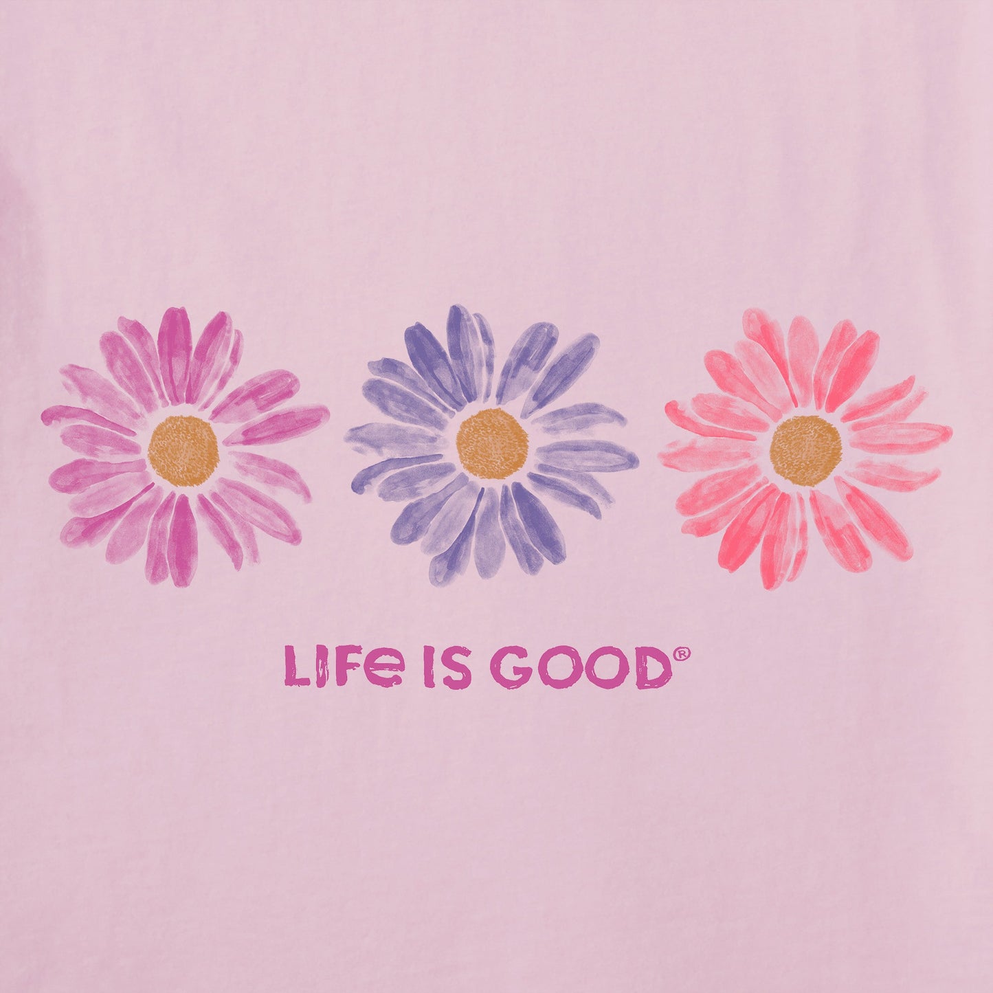 Women's Three Painted Daisies Long Sleeve Crusher Vee