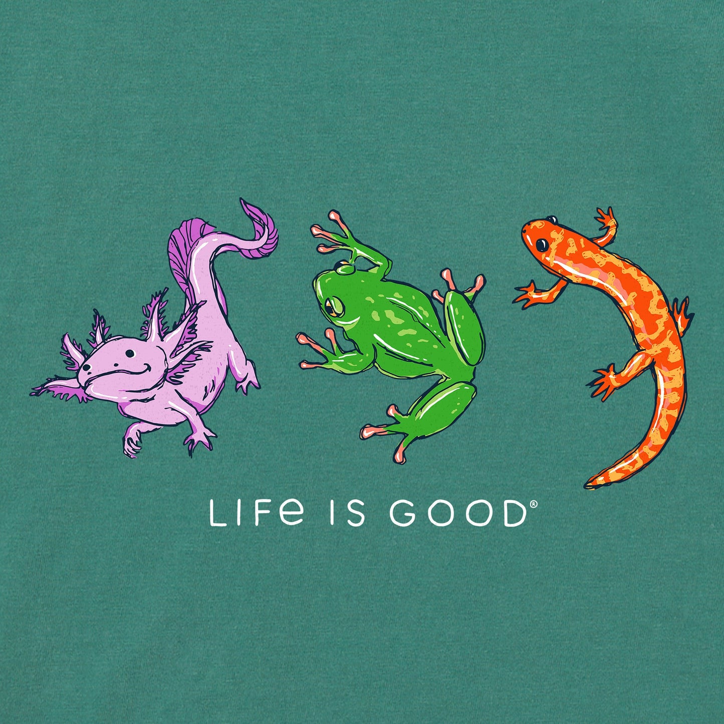 Women's Amphibious Trio Short Sleeve Crusher Boxy Tee