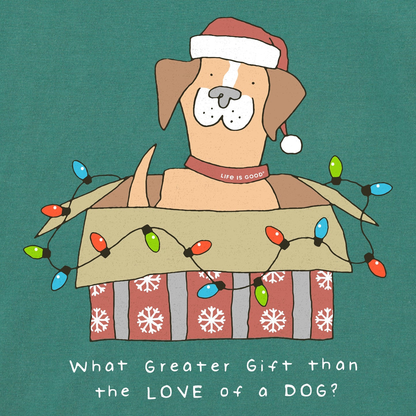 Women's Gift of a Dog Box Short Sleeve Crusher Tee