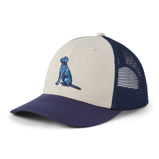 Adult Unisex Clean Sitting Dog Trucker