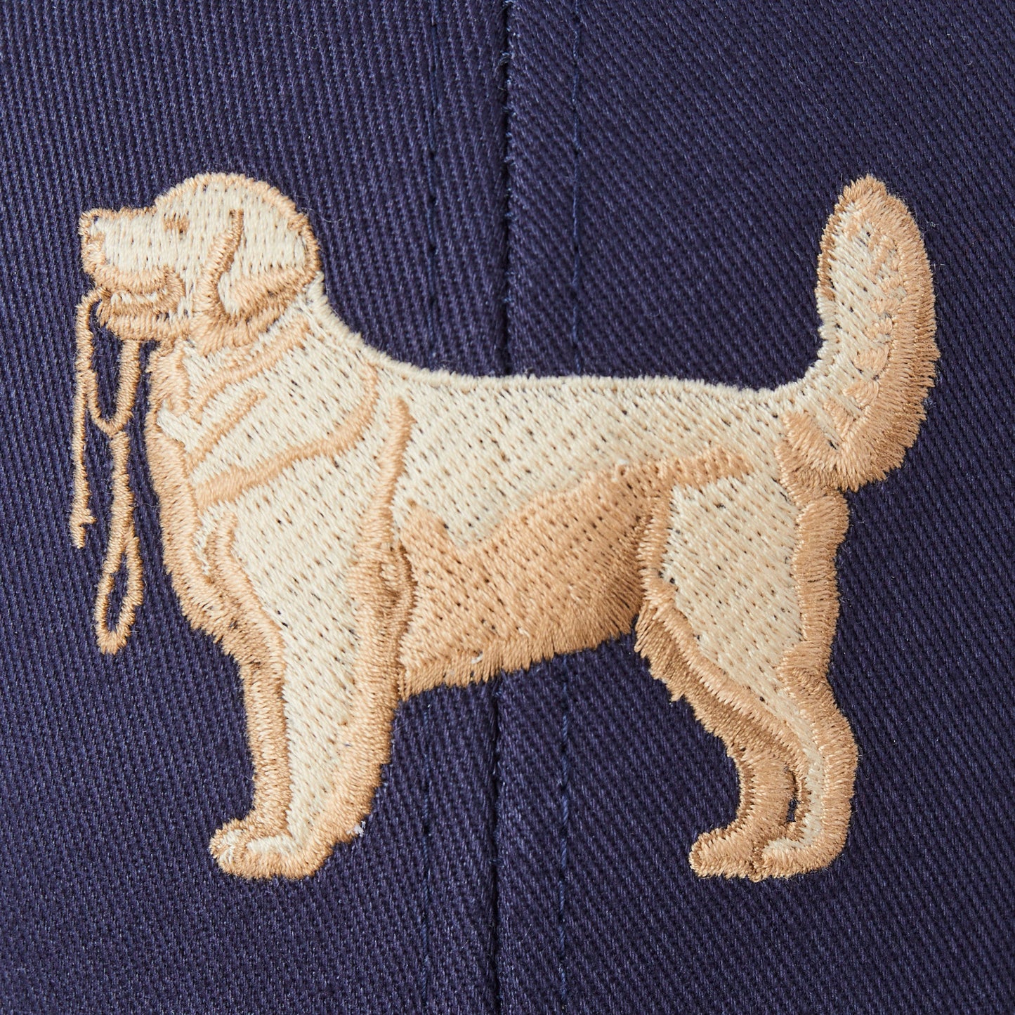 Adult Unisex Folder Retriever with Leash Trucker