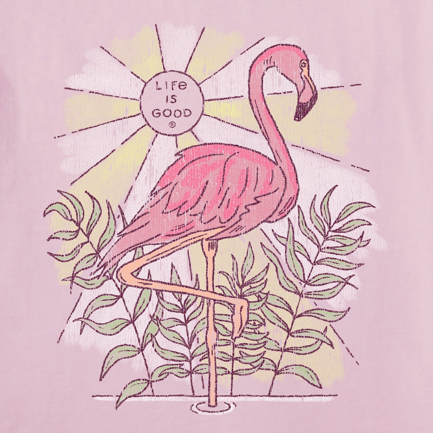 Women's Dreamy Flamingo Short Sleeve Tee