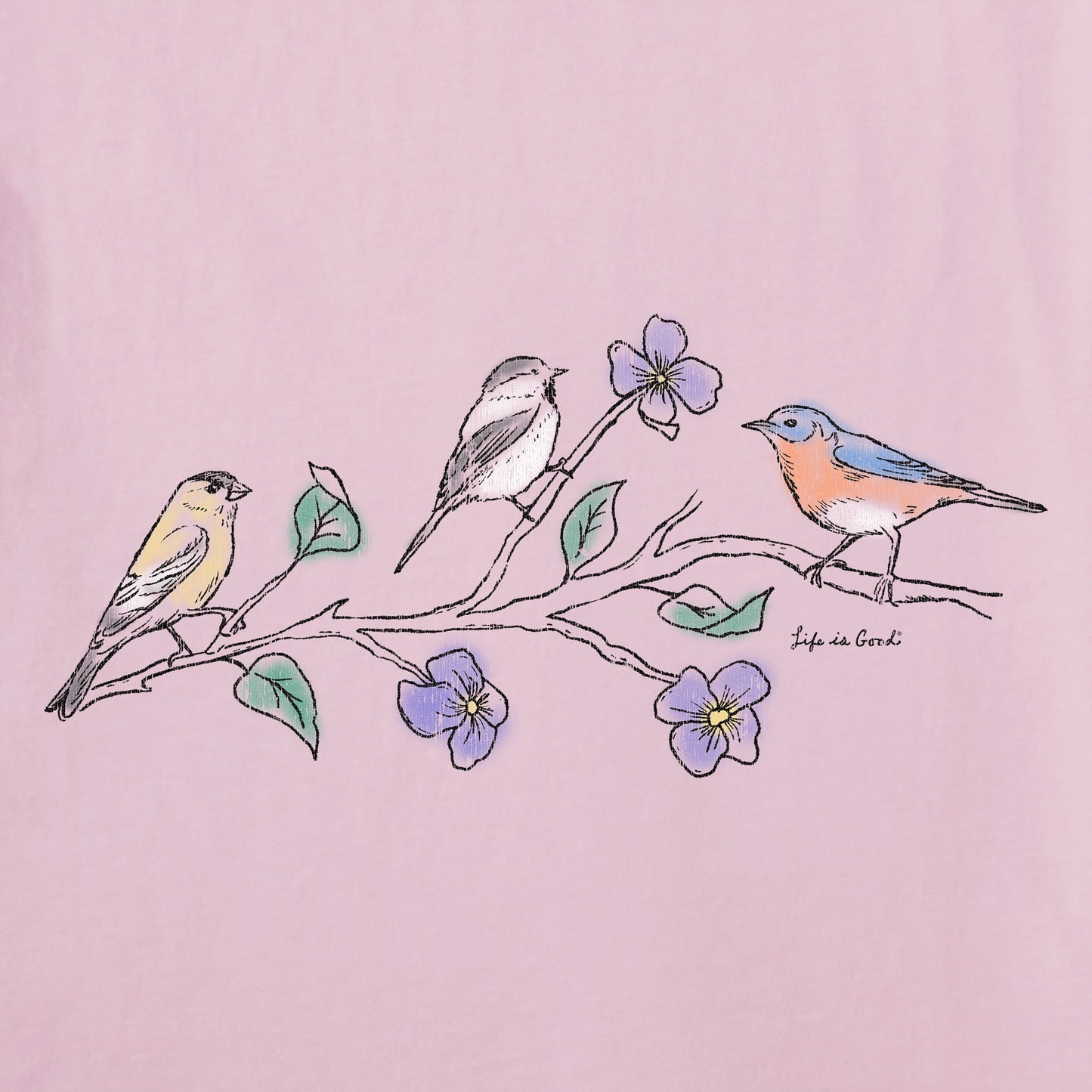 Women's Three Birds Short Sleeve Vee