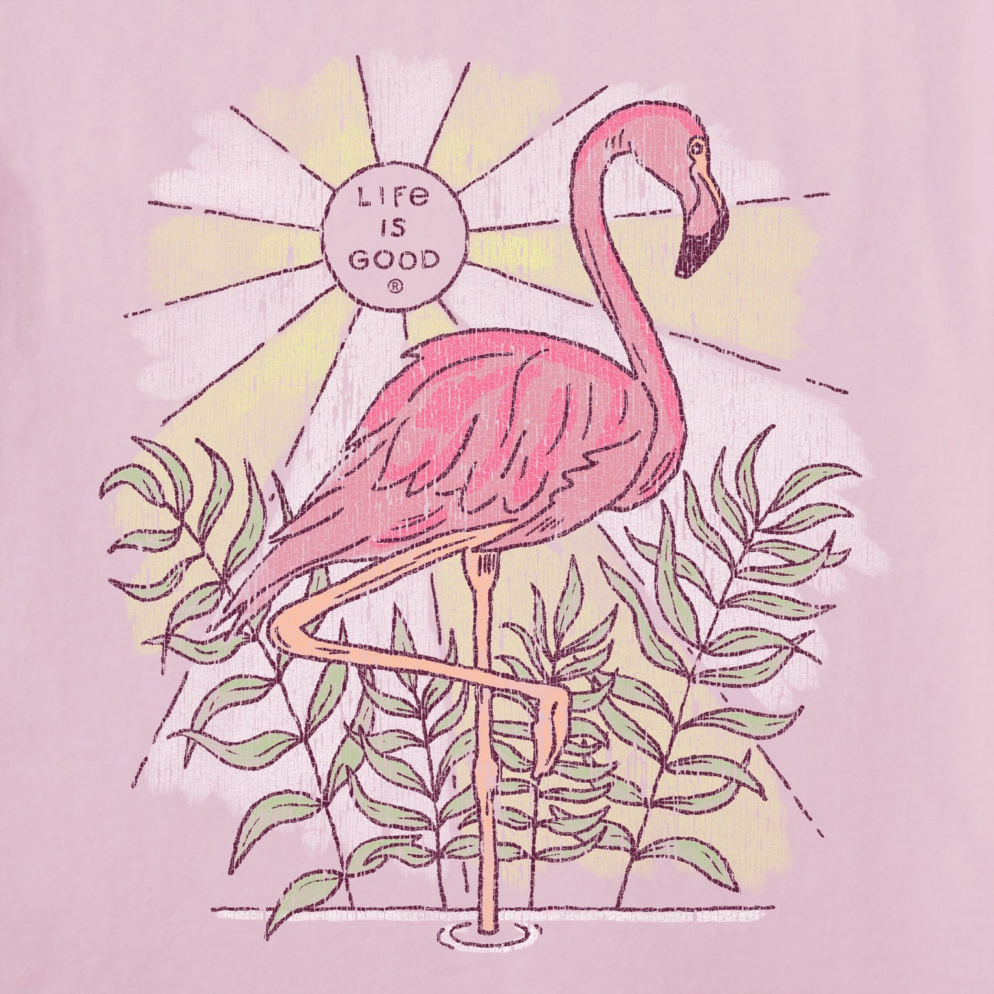 Women's Dreamy Flamingo Short Sleeve Tee