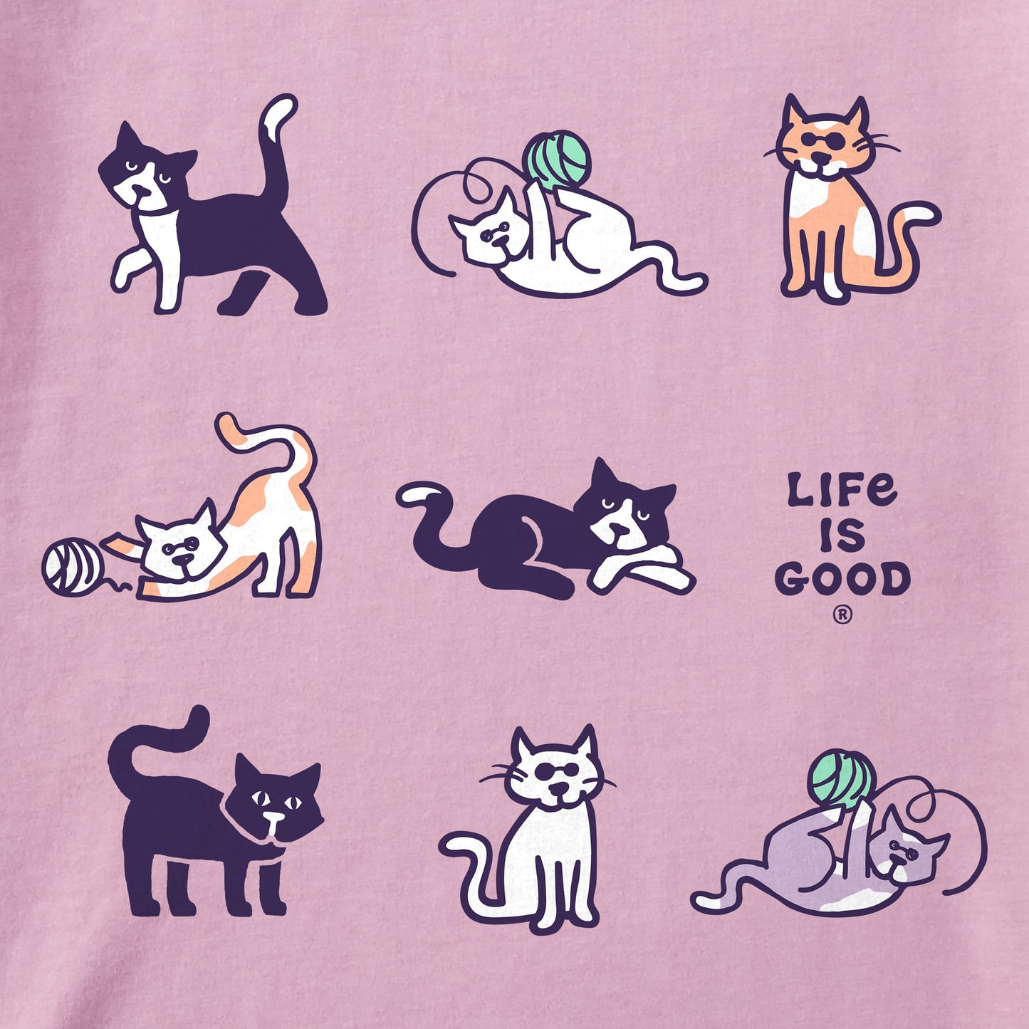 Kids Al the Cat Grid Short Sleeve Crusher Tee