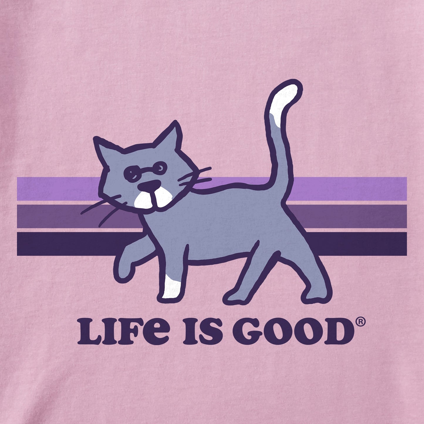 Women's Stripe Al Short Sleeve Crusher Tee