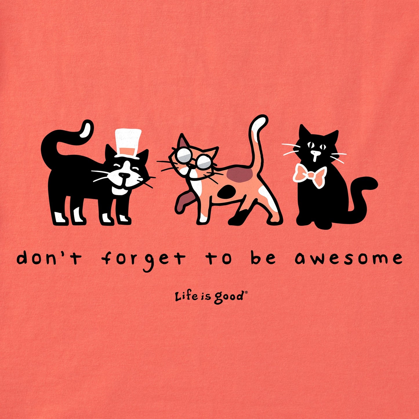 Women's Don't Forget to be Awesome Al's Short Sleeve Crusher Vee