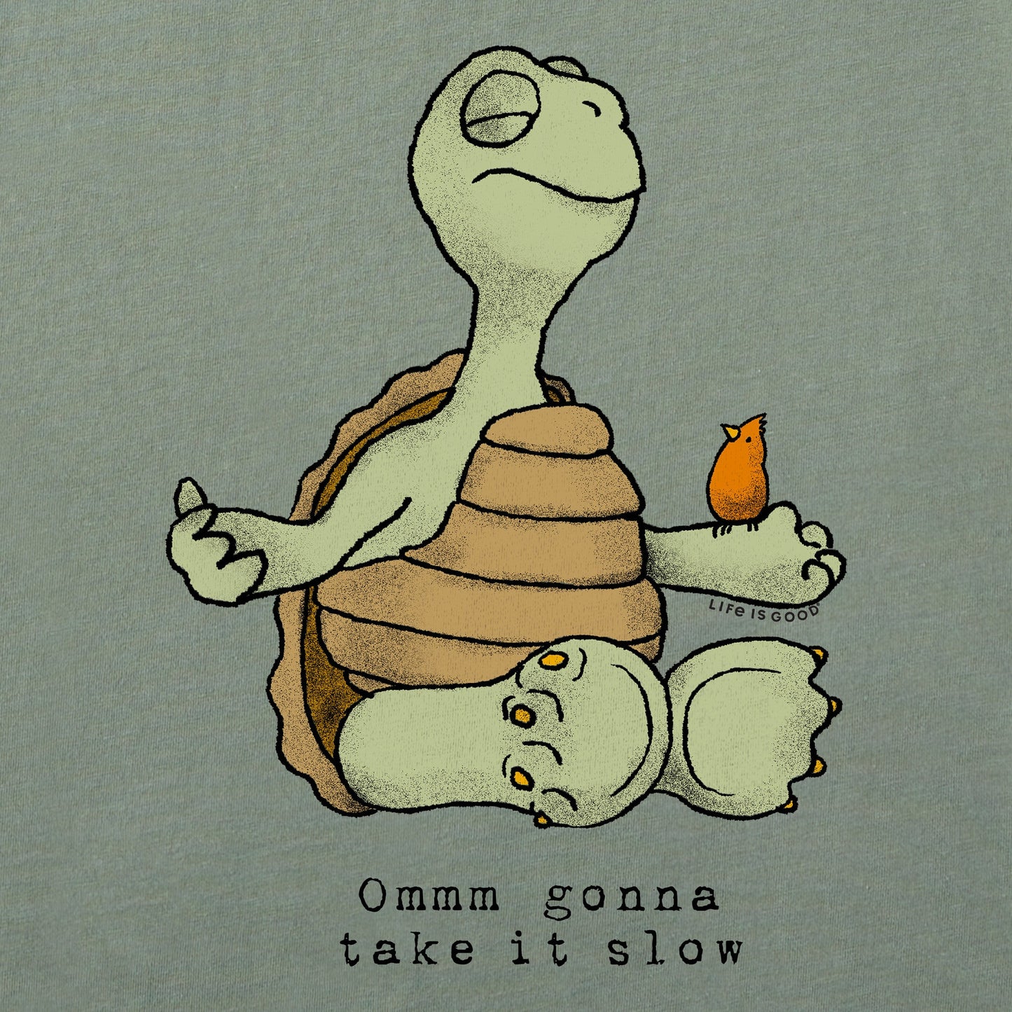 Men's Omm Gonna Take it Slow Turtle Short Sleeve Tee