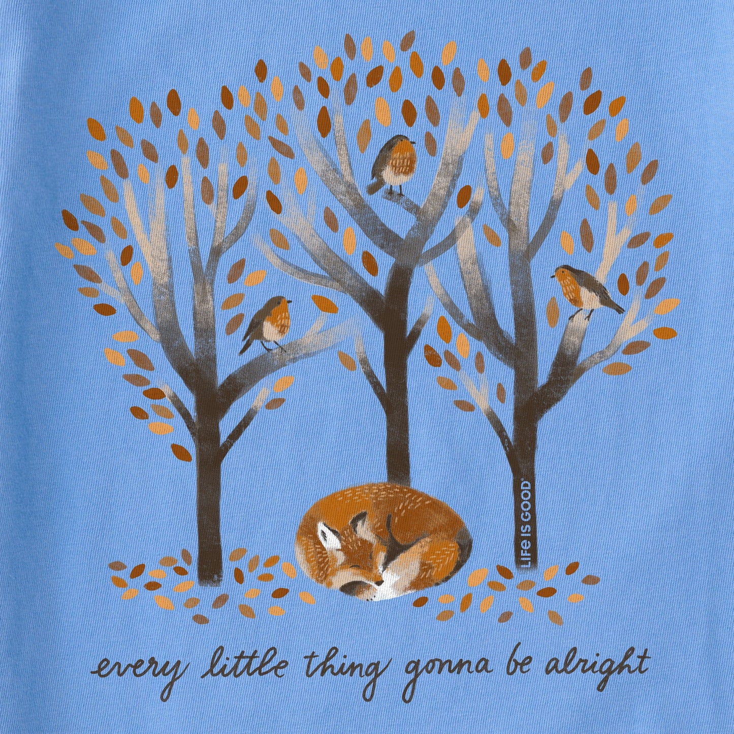 Women's Every Little Thing Fox Long Sleeve Crusher Tee