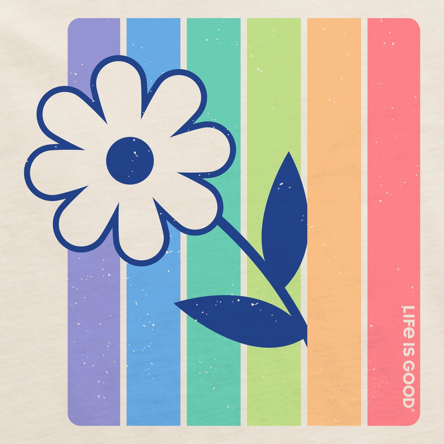 Women's Stripey Peeking Daisy Short Sleeve Crusher Boxy Tee