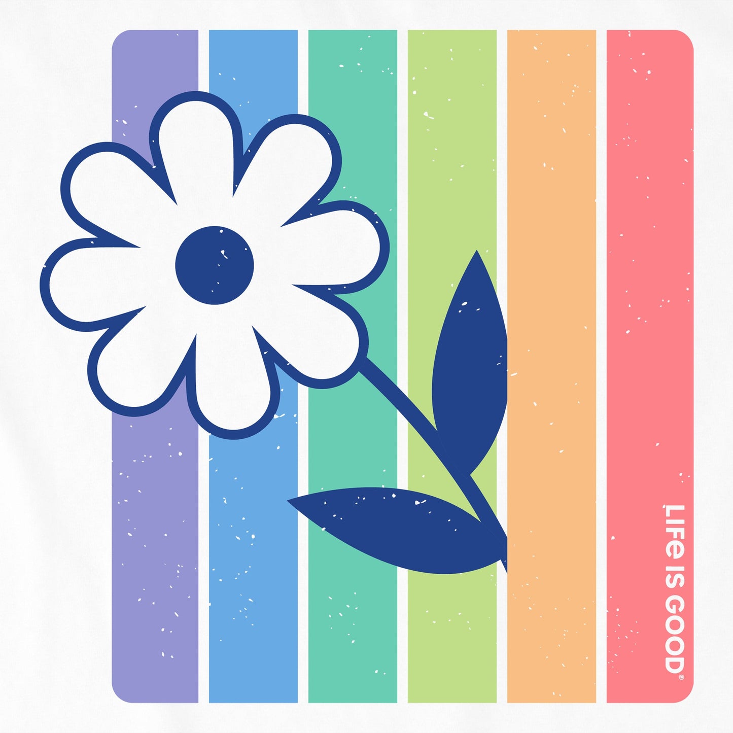 Women's Stripey Peeking Daisy Short Sleeve Tee