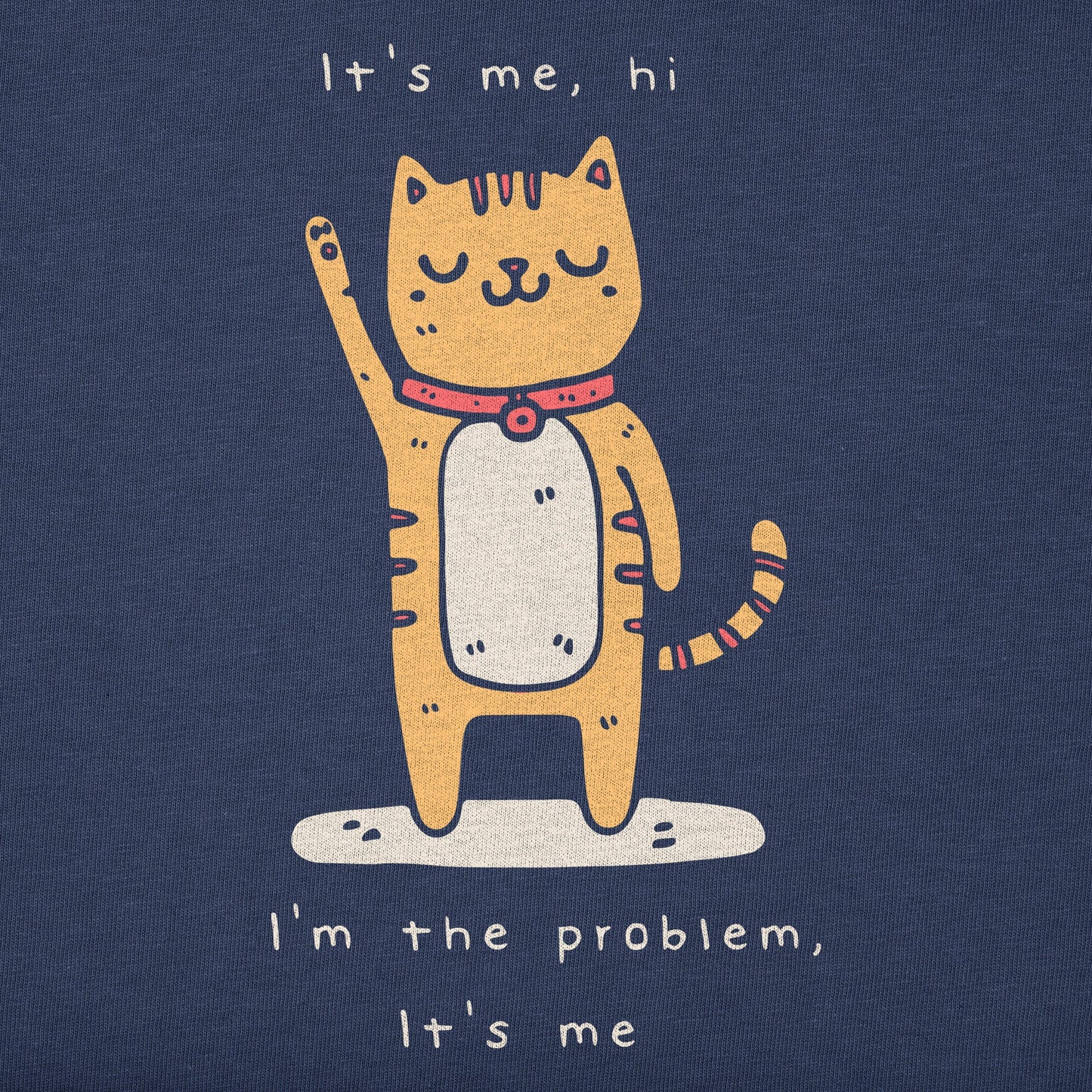 Women's Cat I'm the Problem Short Sleeve Crusher Boxy Tee