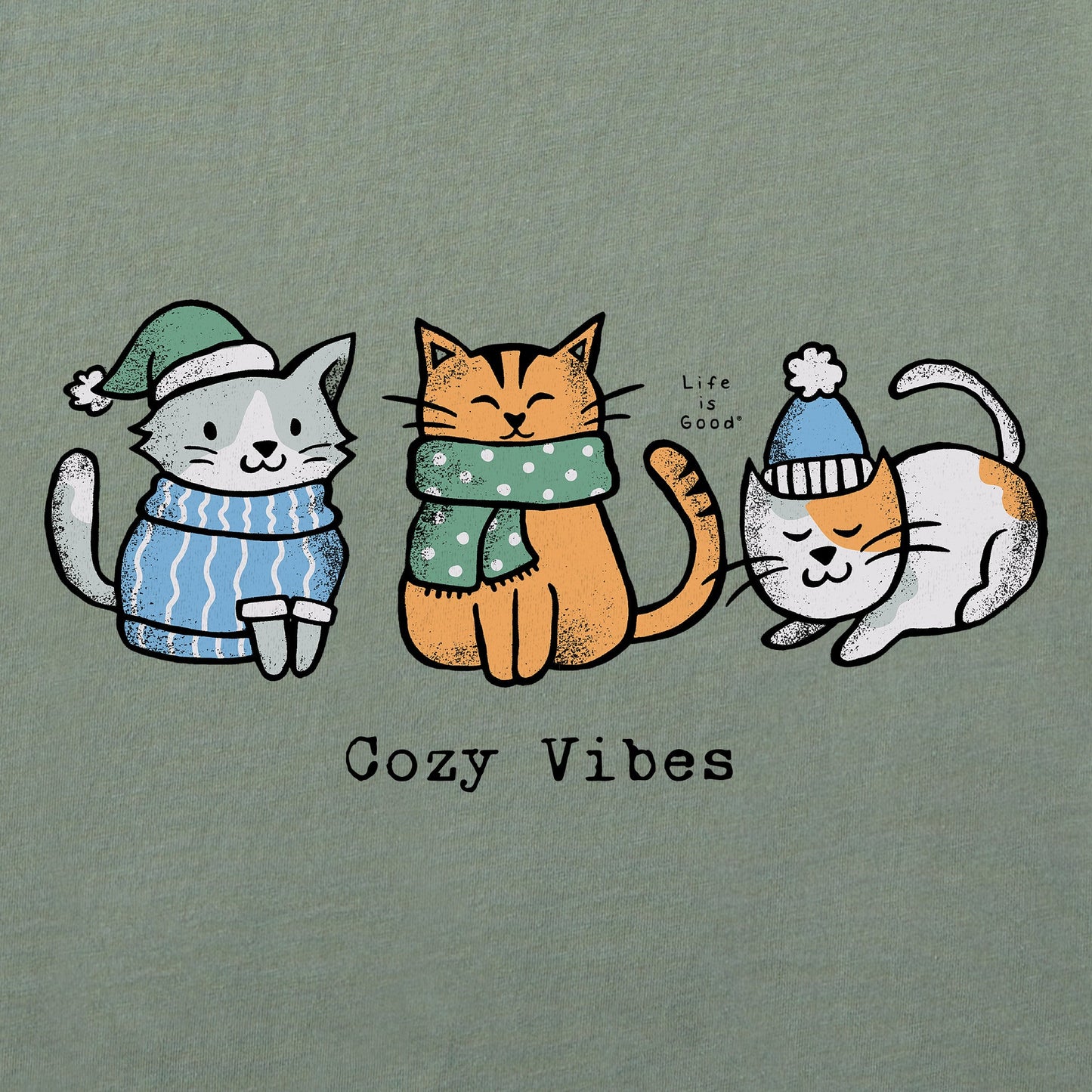 Women's Cozy Vibes Kittens Long Sleeve Crusher Vee