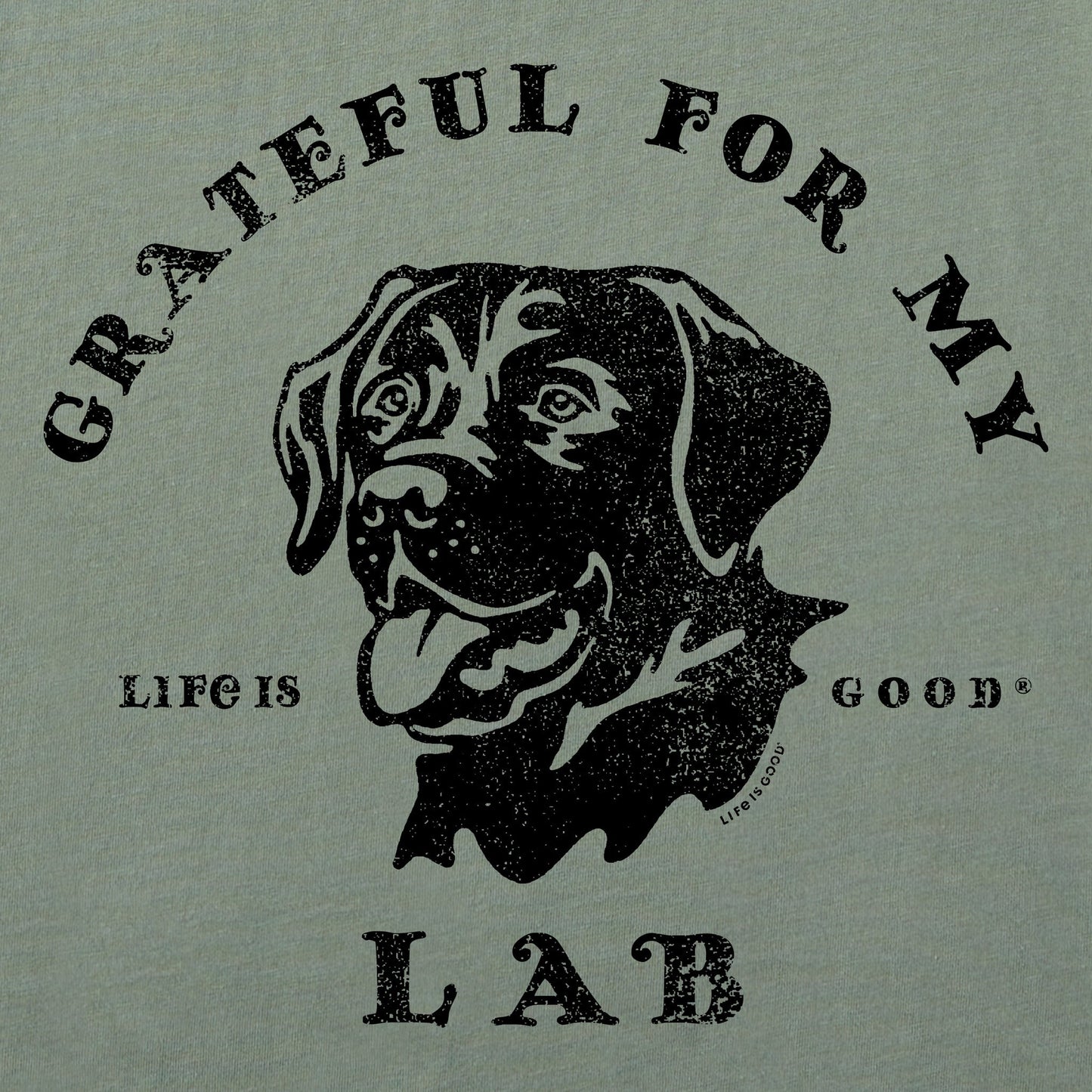 Women's Grateful for my Lab Short Sleeve Crusher Boxy Tee