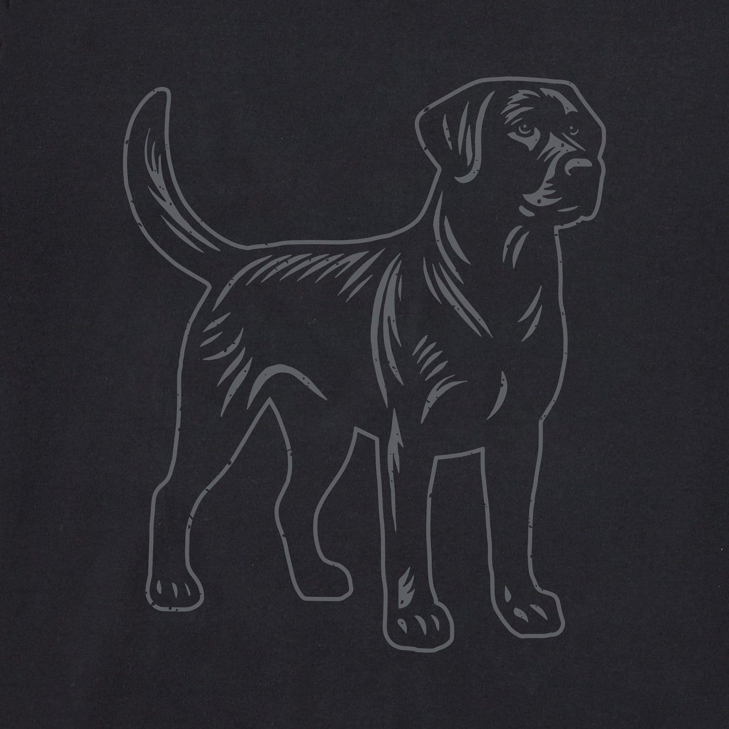 Women's Clean Labrador Short Sleeve Tee