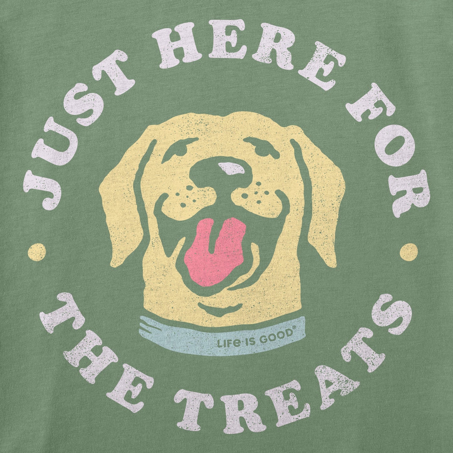 Toddler Here for the Treats Short Sleeve Crusher Tee