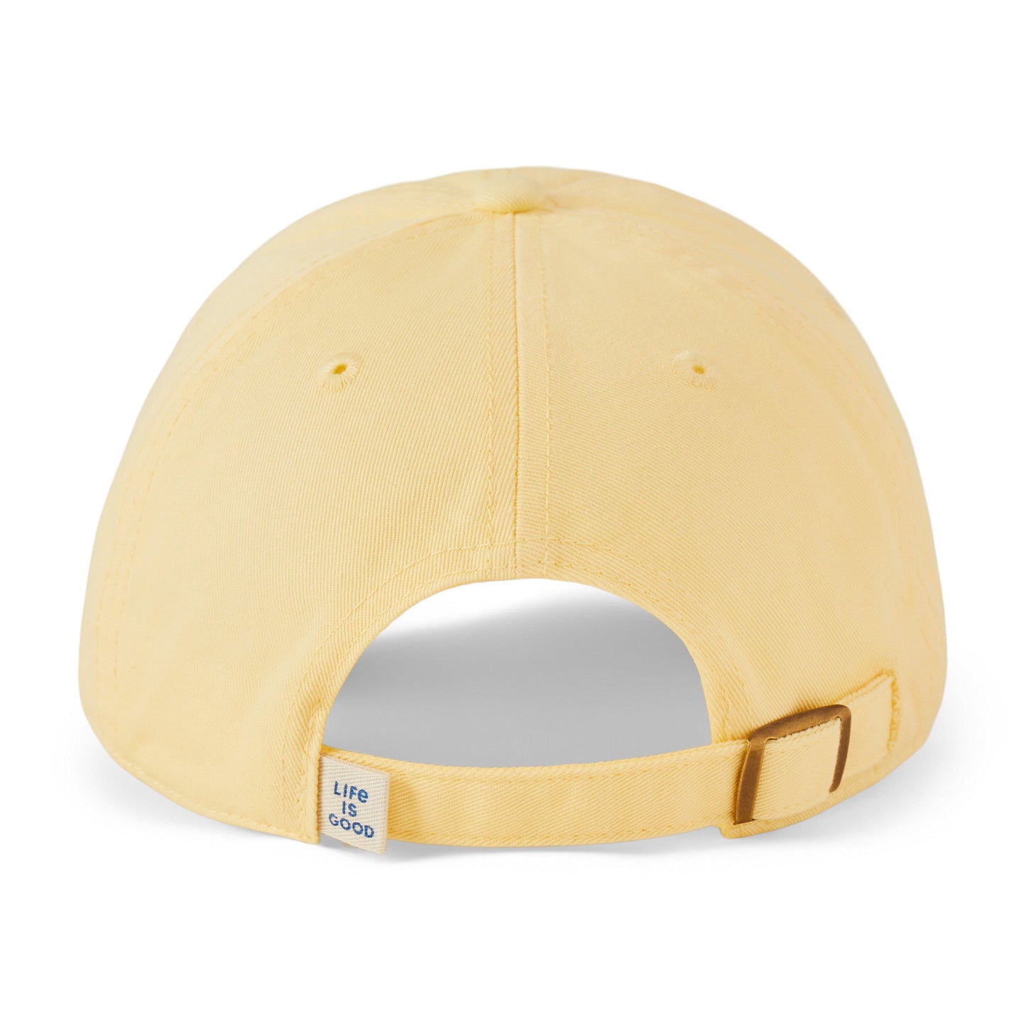 Adult Unisex Vintage Turtle Chill Cap