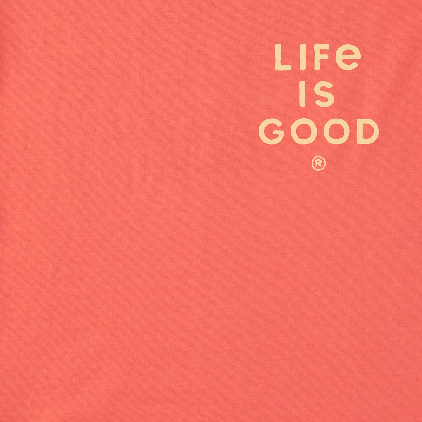 Women's DWYL Make Every Day Count Coin Short Sleeve Crusher Tee