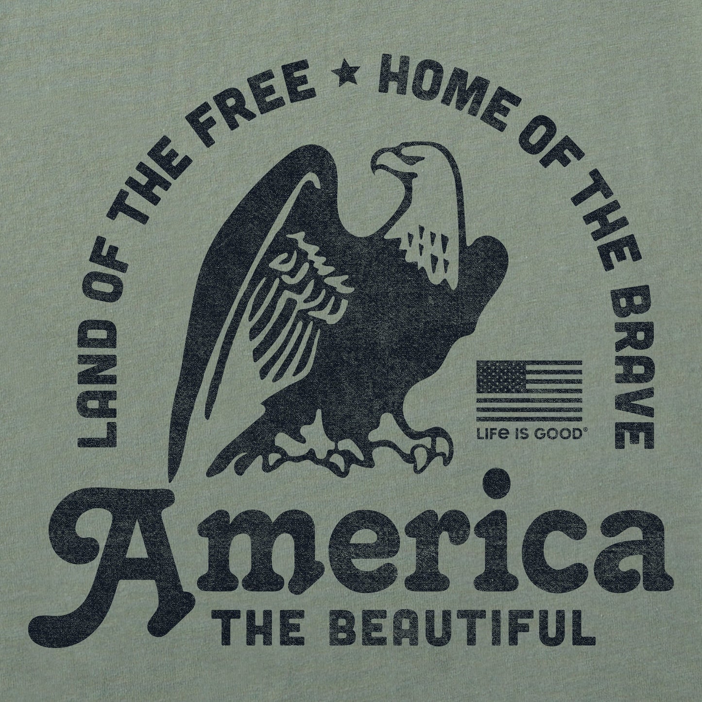 Women's America the Beautiful Eagle Short Sleeve Crusher Boxy Tee