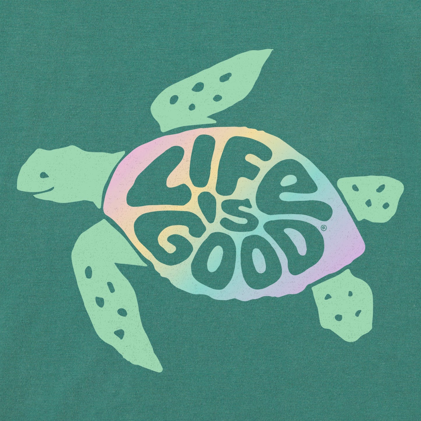 Women's Groovy Turtle Short Sleeve Crusher Boxy Tee