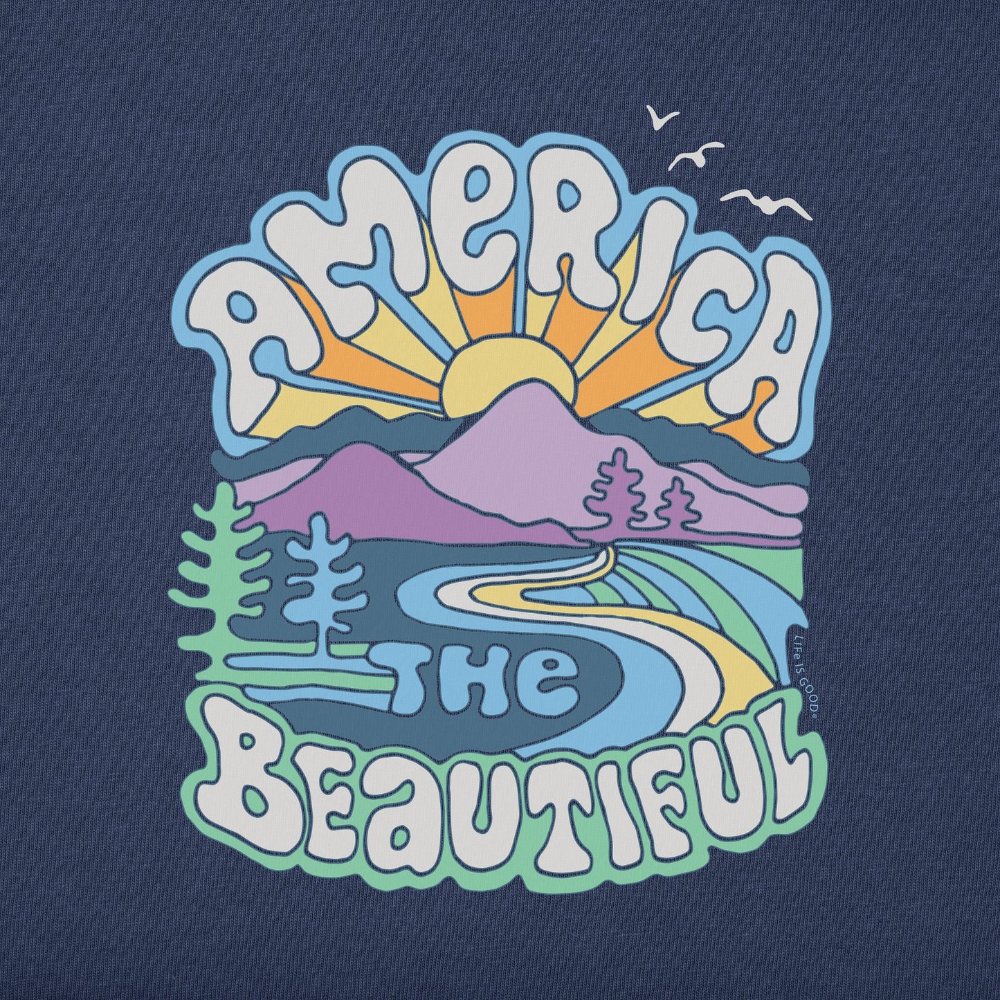 Women's America the Beautiful Short Sleeve Crusher Boxy Tee