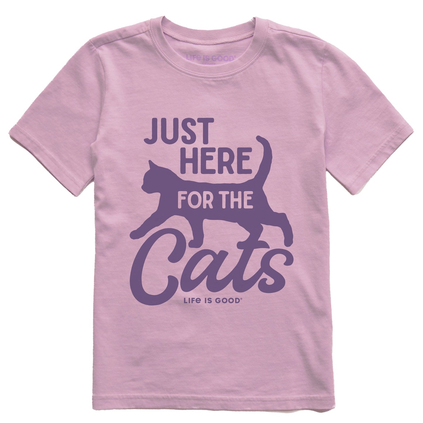 Kids Here for the Cats Short Sleeve Crusher Tee