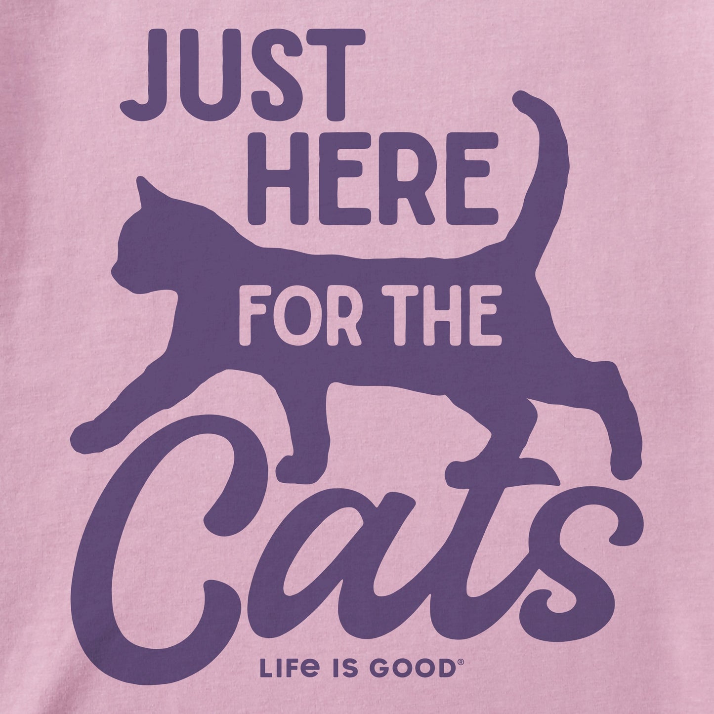 Kids Here for the Cats Short Sleeve Crusher Tee