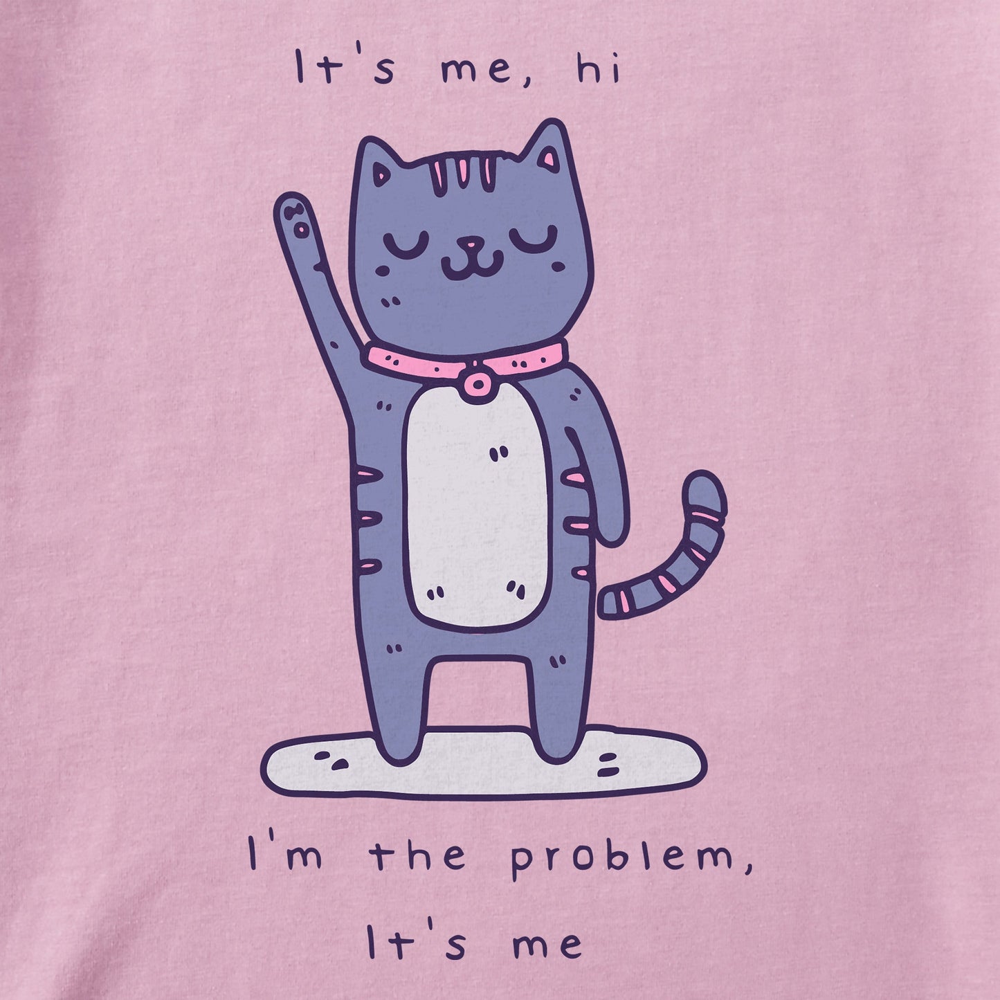 Women's Cat I'm the Problem Short Sleeve Tee