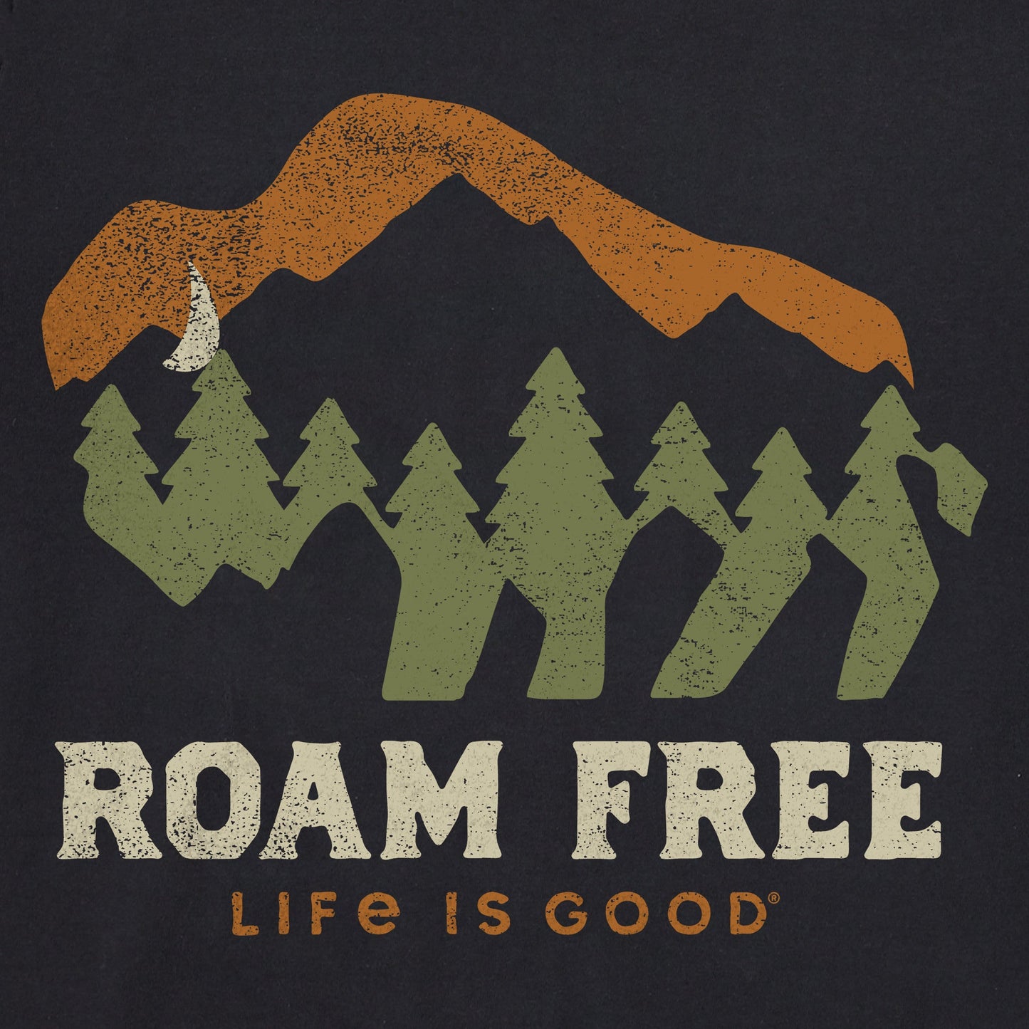 Women's Roam Free Buffalo Short Sleeve Crusher Tee