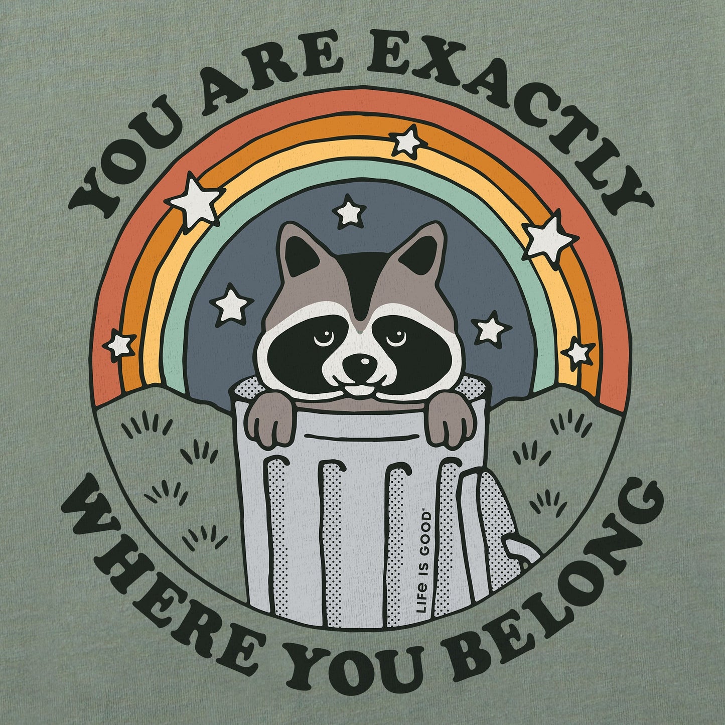 Women's Where You Belong Raccoon Short Sleeve Crusher Boxy Tee