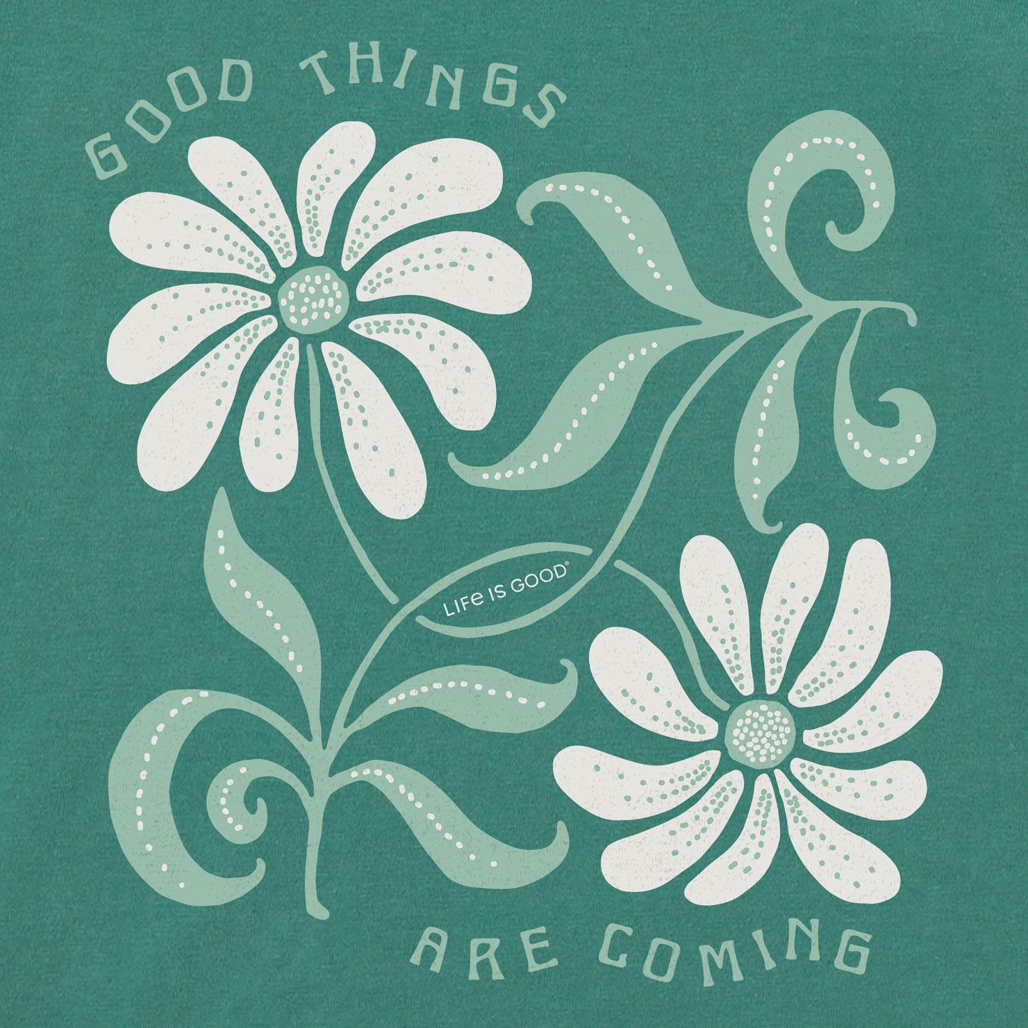 Women's Good Things are Coming Daisies Short Sleeve Crusher Boxy Tee