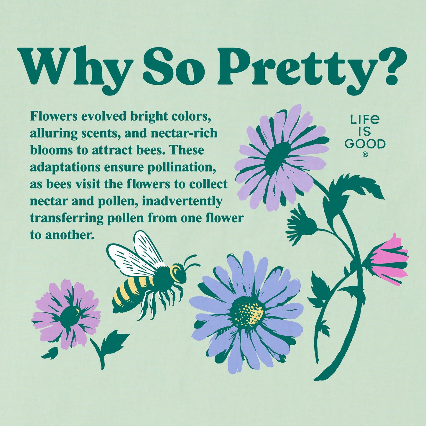 Women's Why So Pretty? Short Sleeve Crusher Tee