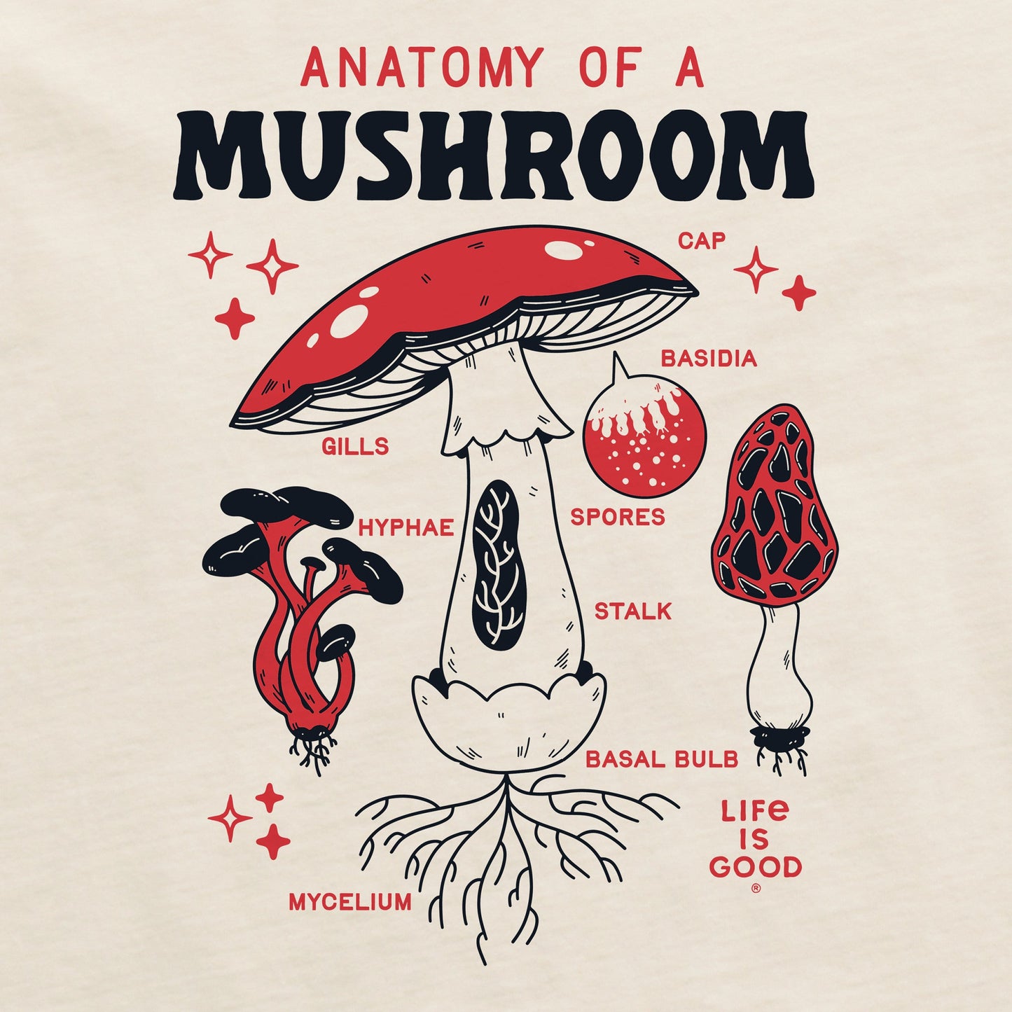 Women's The Anatomy of a Mushroom Short Sleeve Crusher Boxy Tee